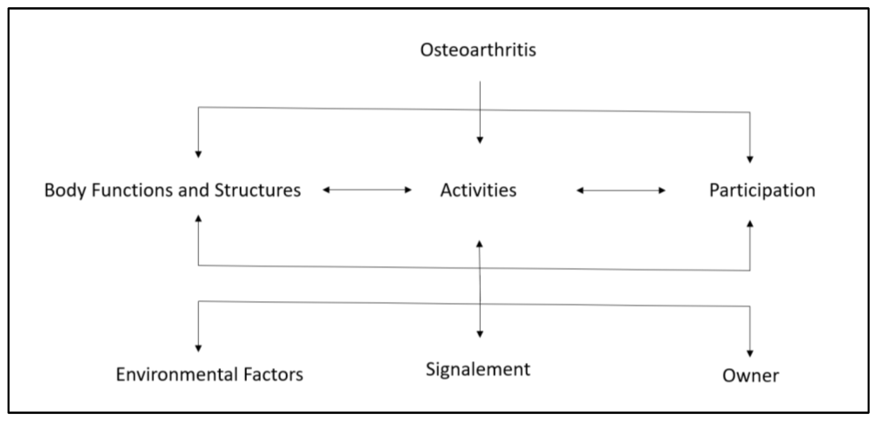 Vetsci 10 00002 g002