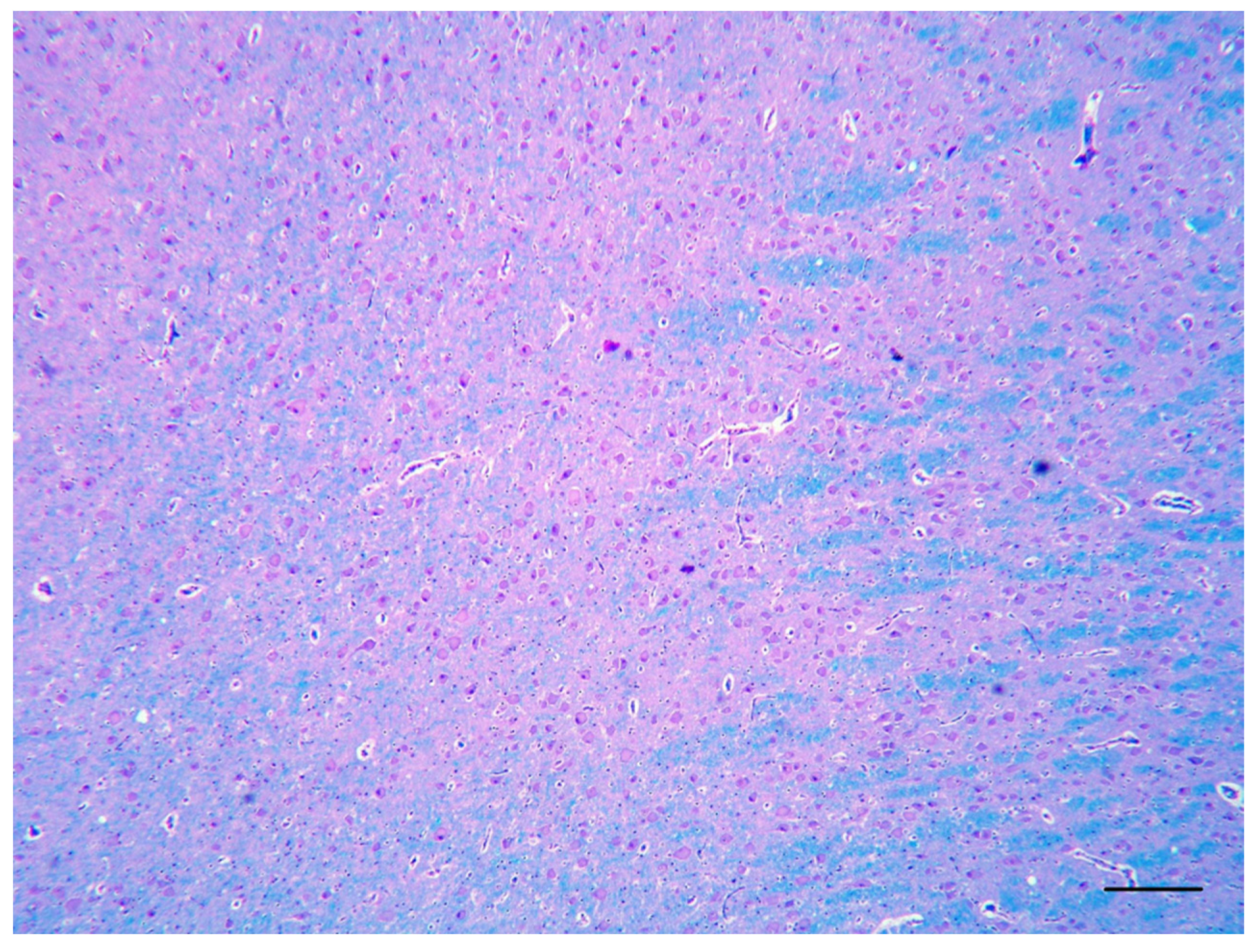 Vetsci 10 00007 g002 Vetsci 10 00007 g002