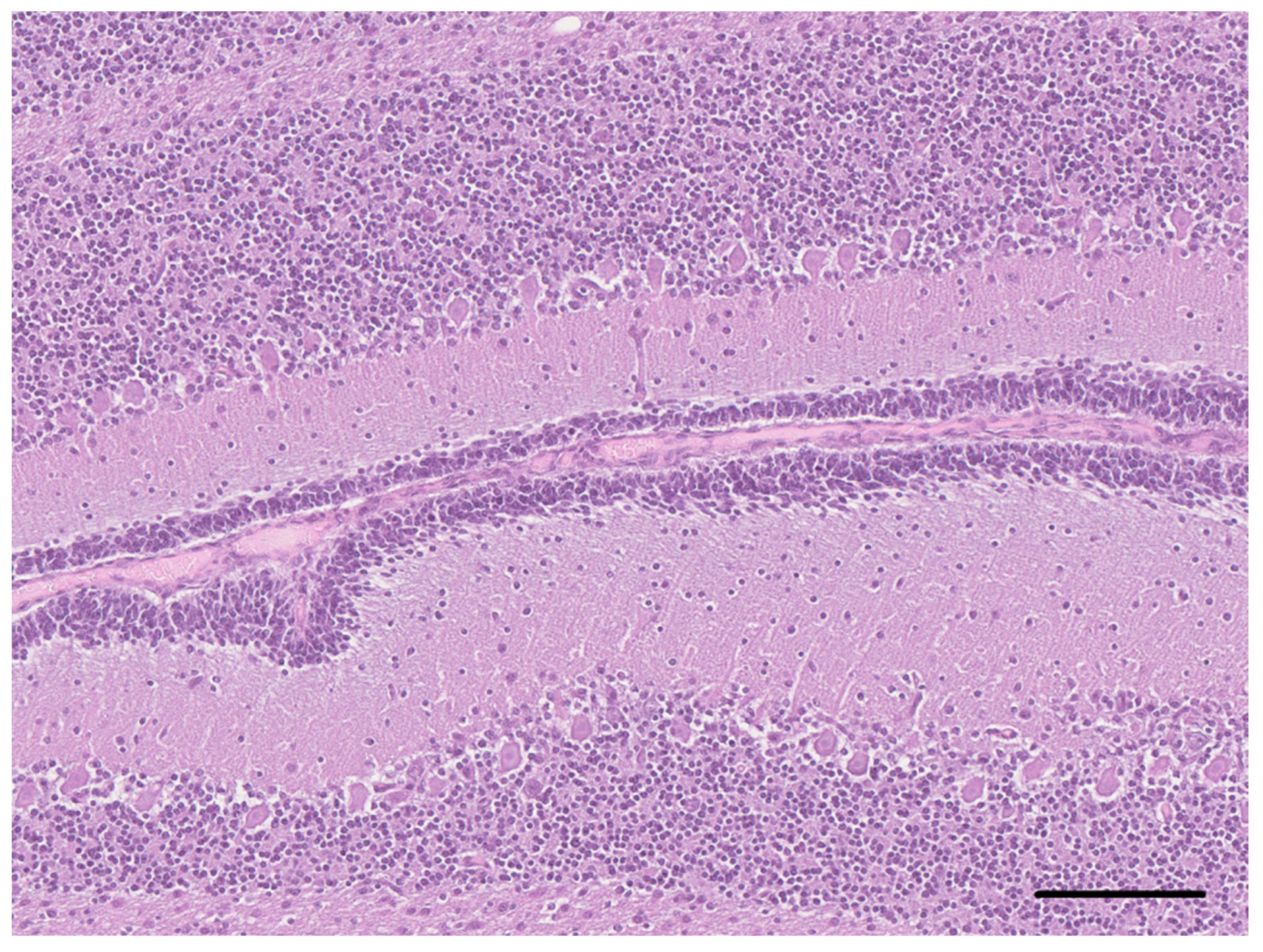 Vetsci 10 00007 g007 Vetsci 10 00007 g007