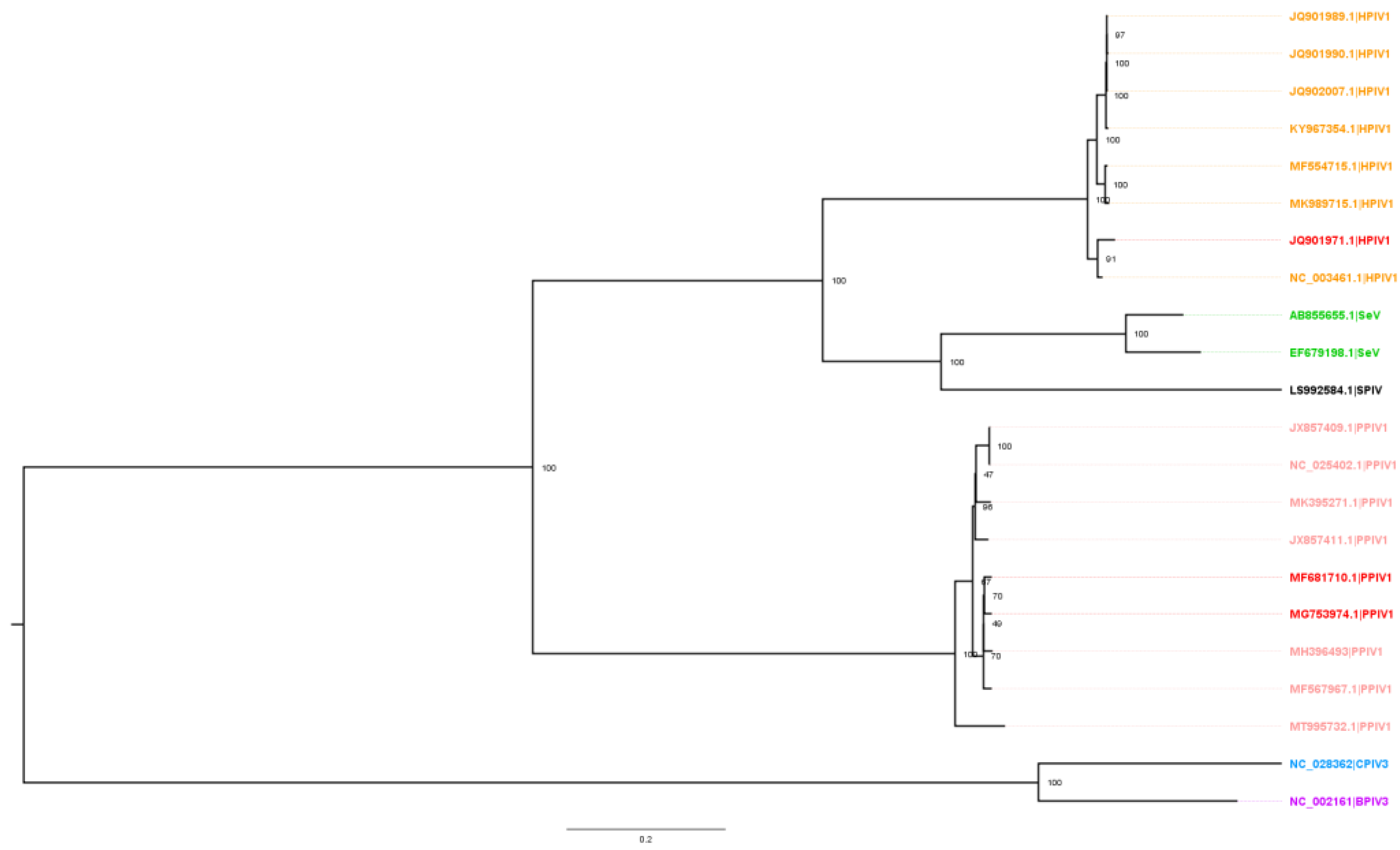 Vetsci 10 00018 g001