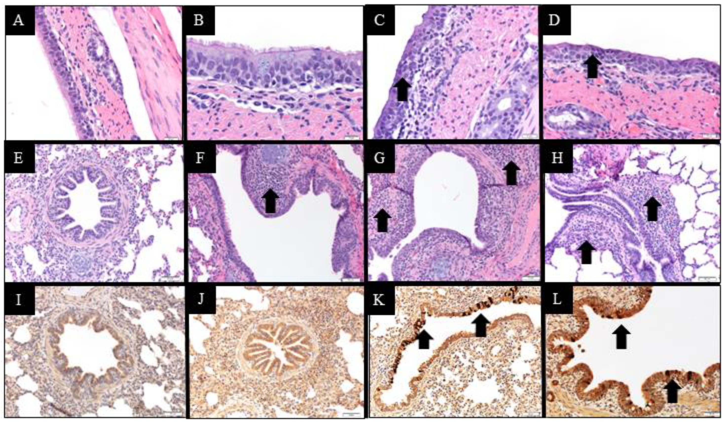 Vetsci 10 00018 g006