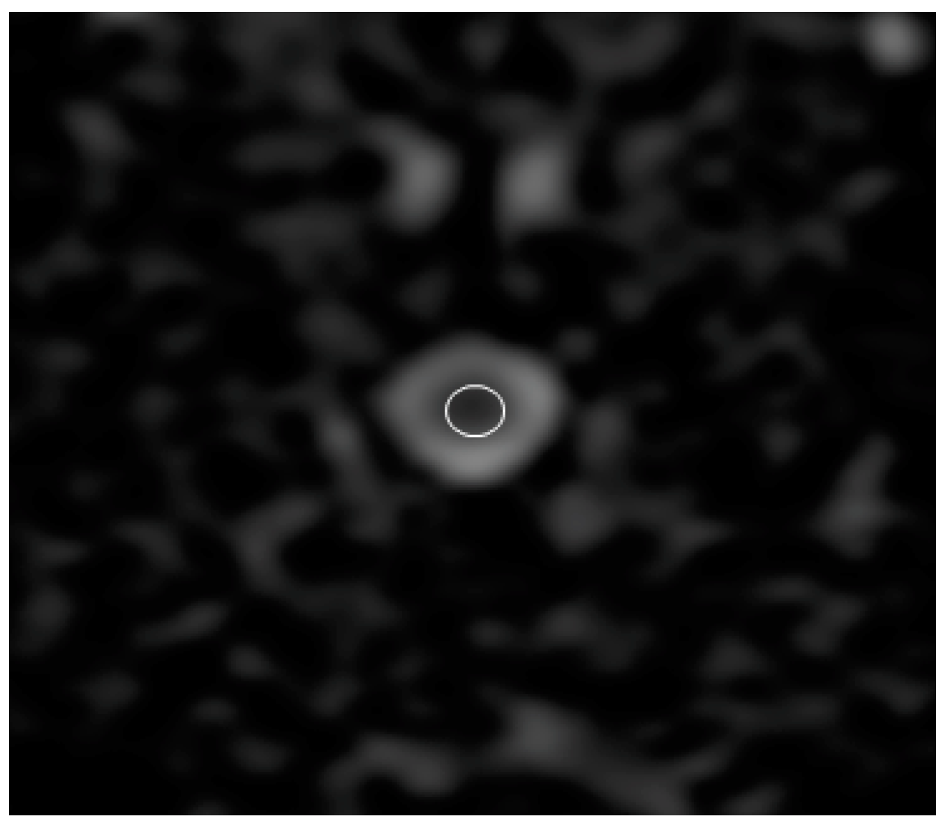 Vetsci 10 00031 g002 Vetsci 10 00031 g002