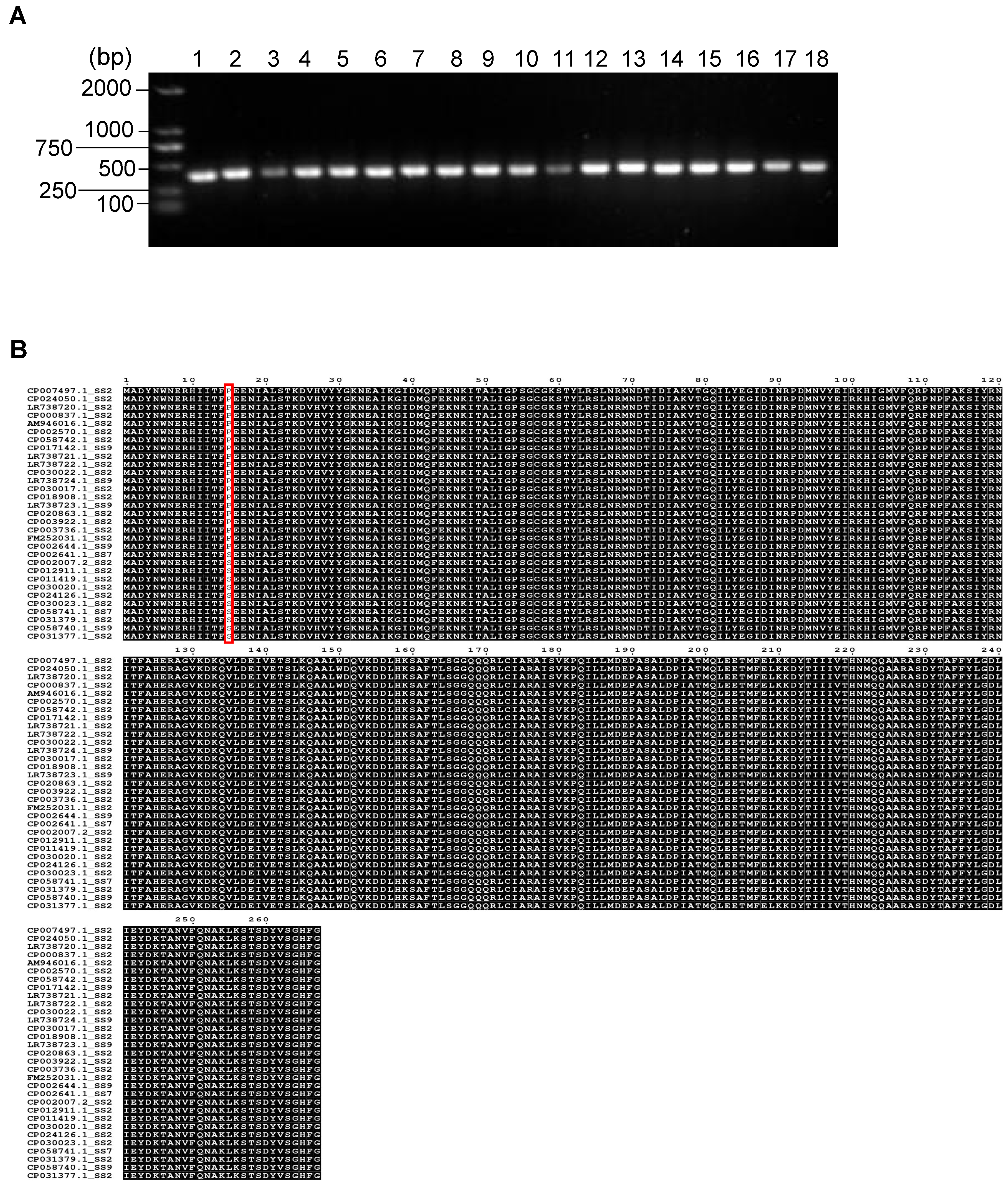 Vetsci 10 00048 g001 Vetsci 10 00048 g001