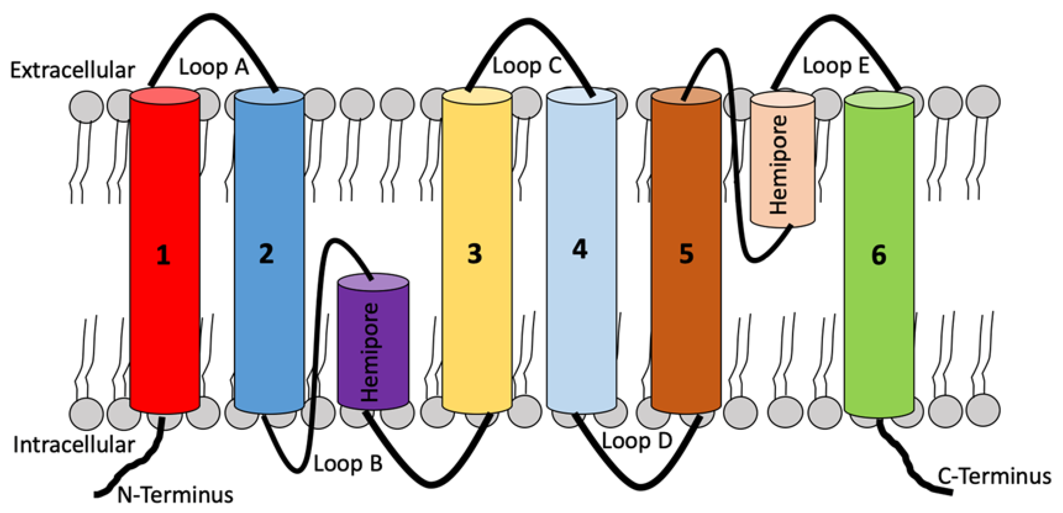 Vetsci 10 00050 g001 Vetsci 10 00050 g001