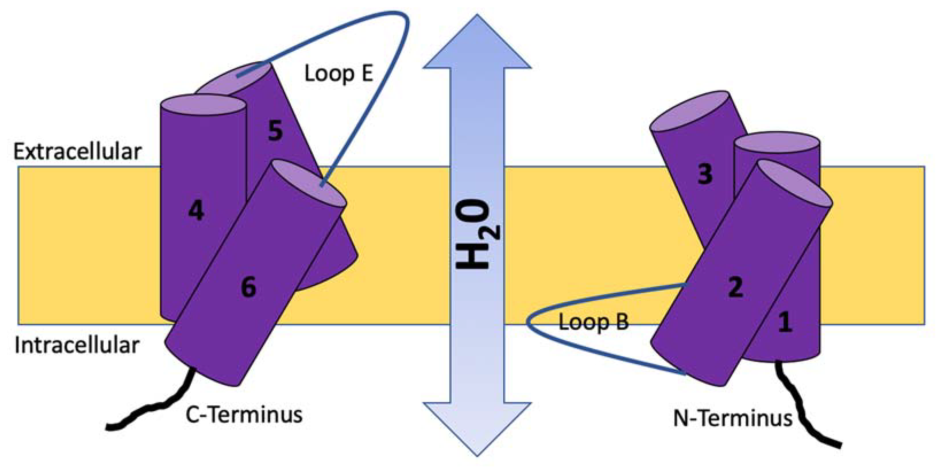 Vetsci 10 00050 g002 Vetsci 10 00050 g002