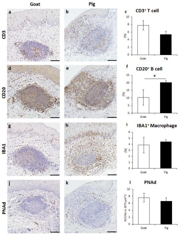 Vetsci 10 00051 g003