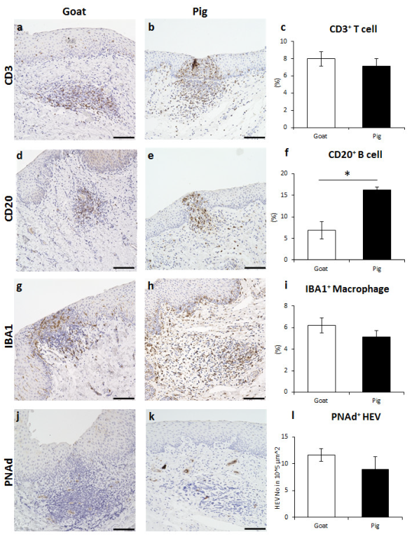Vetsci 10 00051 g004