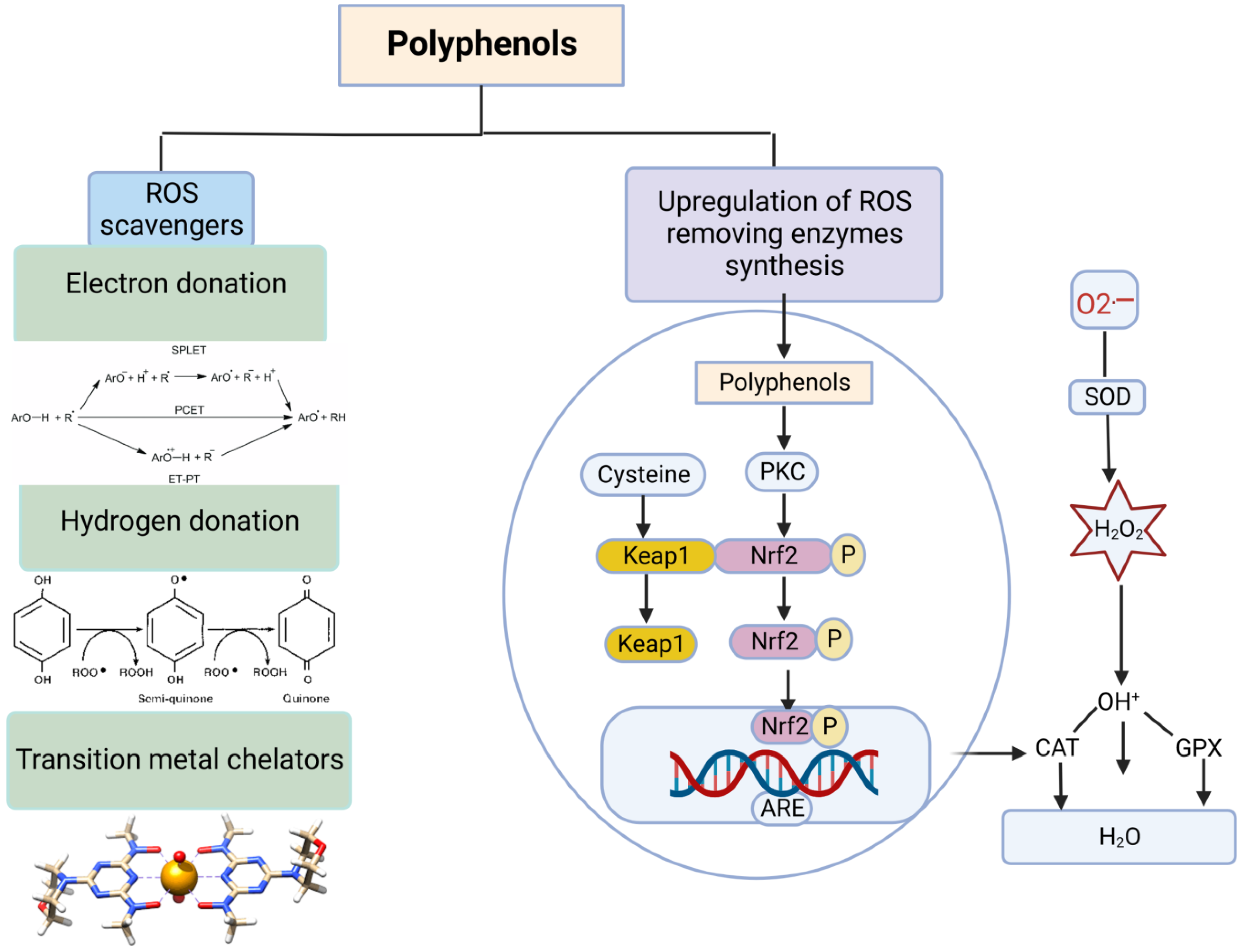 Vetsci 10 00055 g006 Vetsci 10 00055 g006