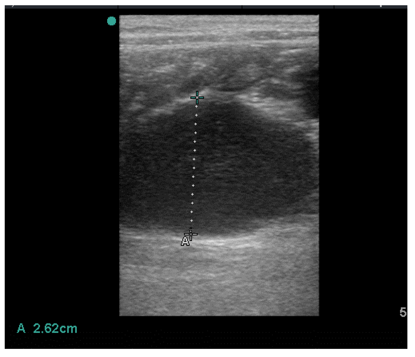 Vetsci 10 00060 g001 Vetsci 10 00060 g001