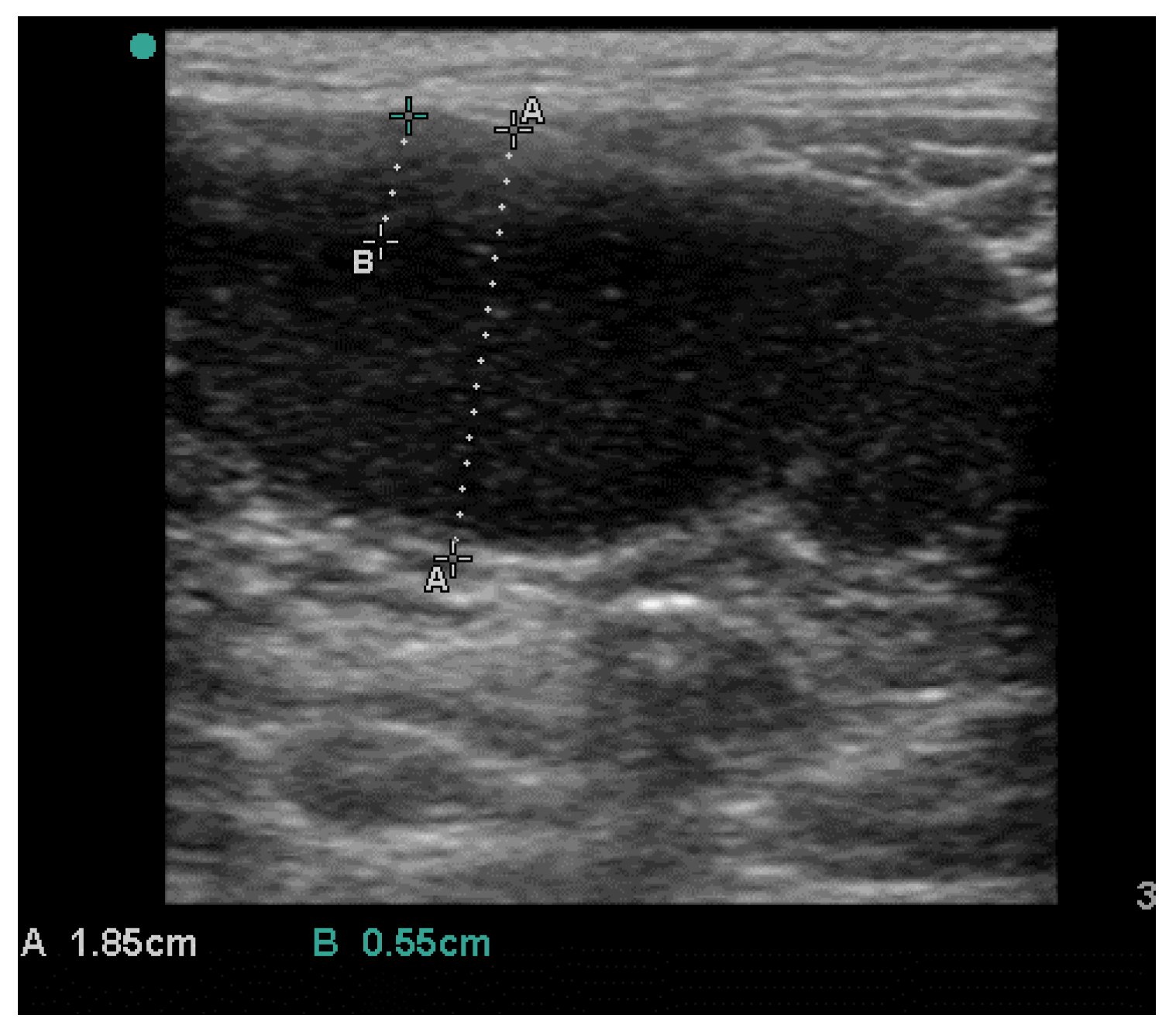 Vetsci 10 00060 g002 Vetsci 10 00060 g002