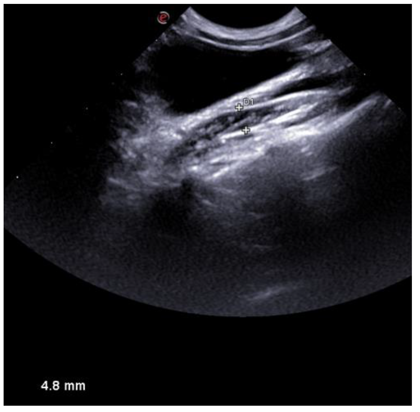 Vetsci 10 00060 g007 Vetsci 10 00060 g007