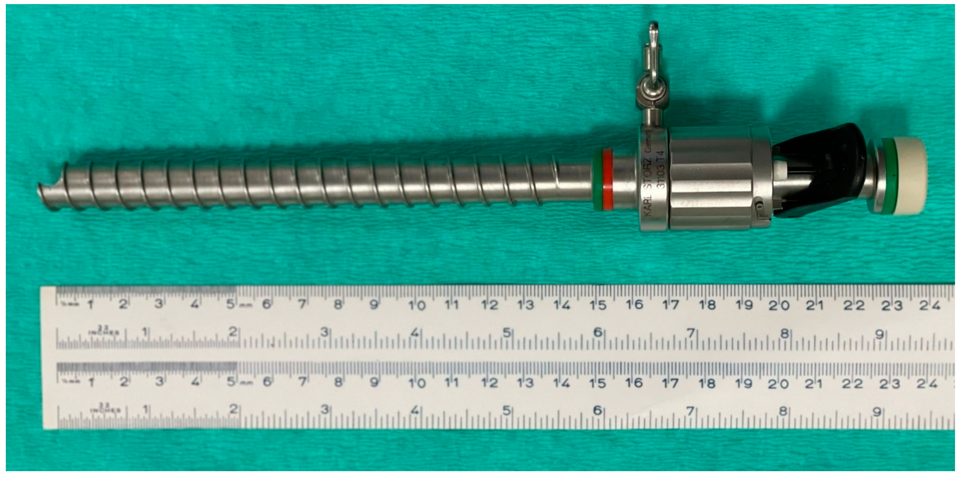 Vetsci 10 00061 g005