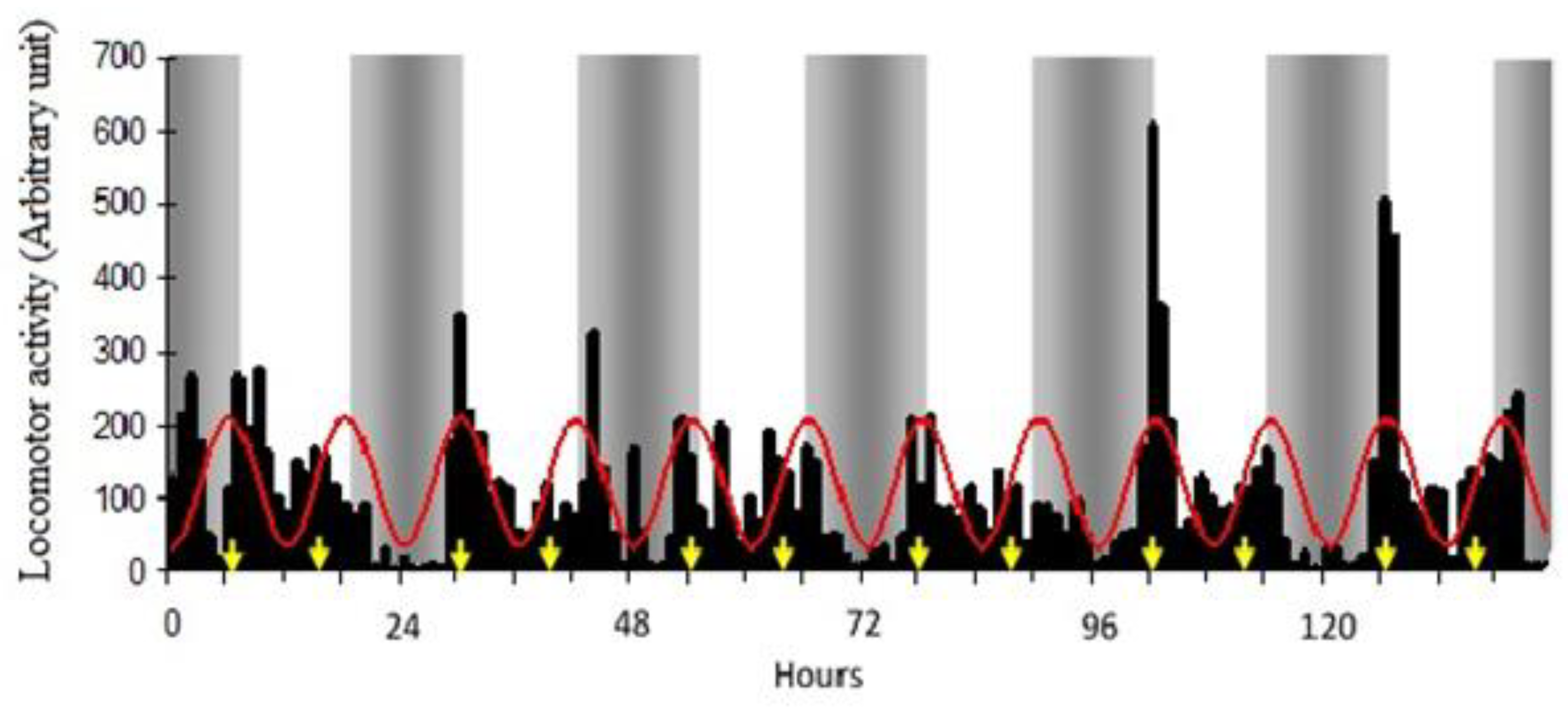 Vetsci 10 00064 g002 Vetsci 10 00064 g002