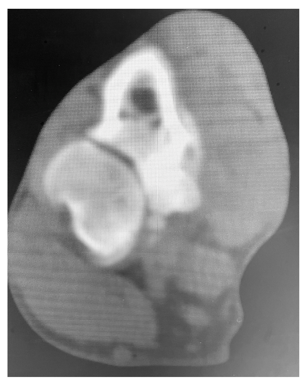 Vetsci 10 00070 g001 550