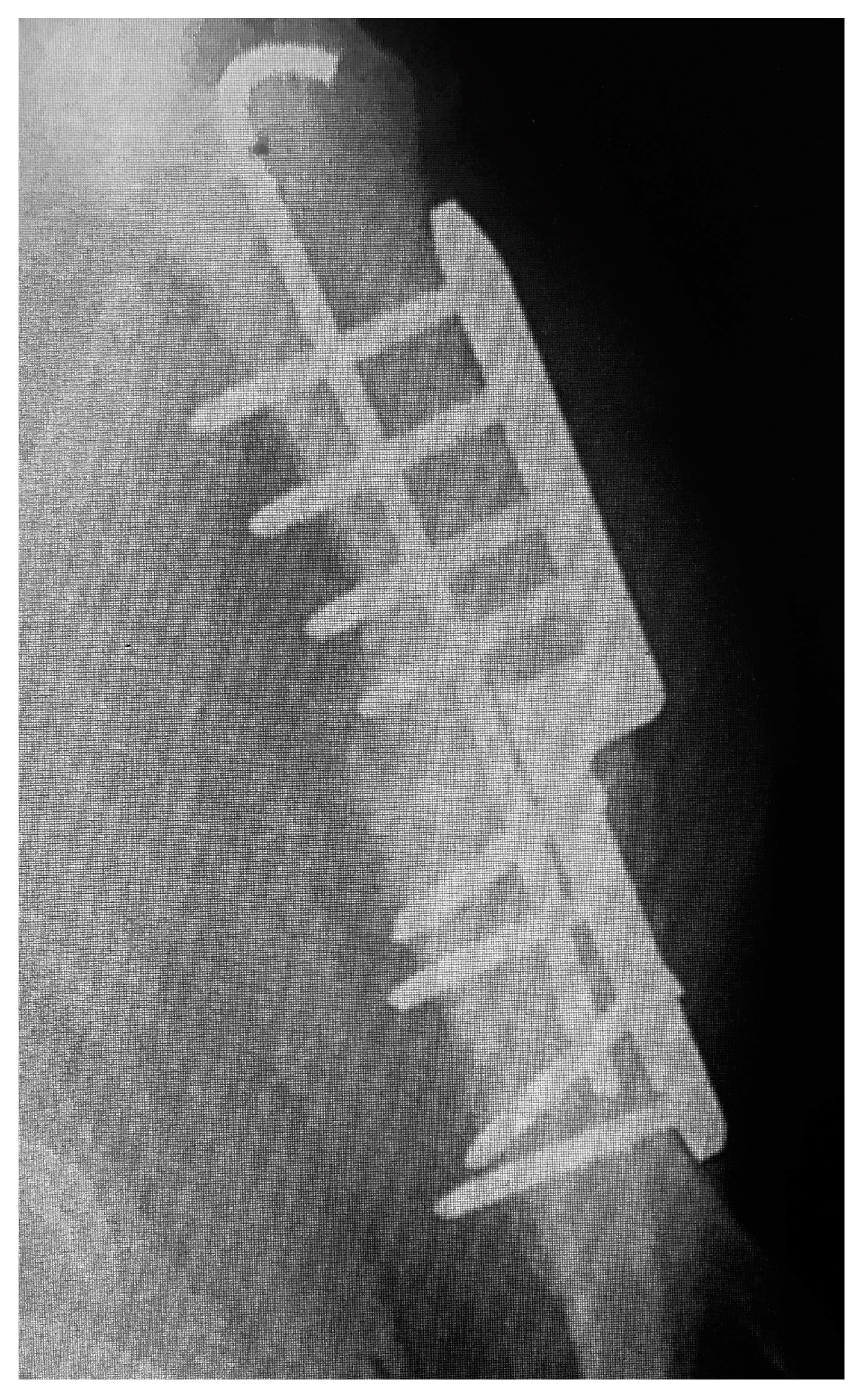 Vetsci 10 00070 g002 550