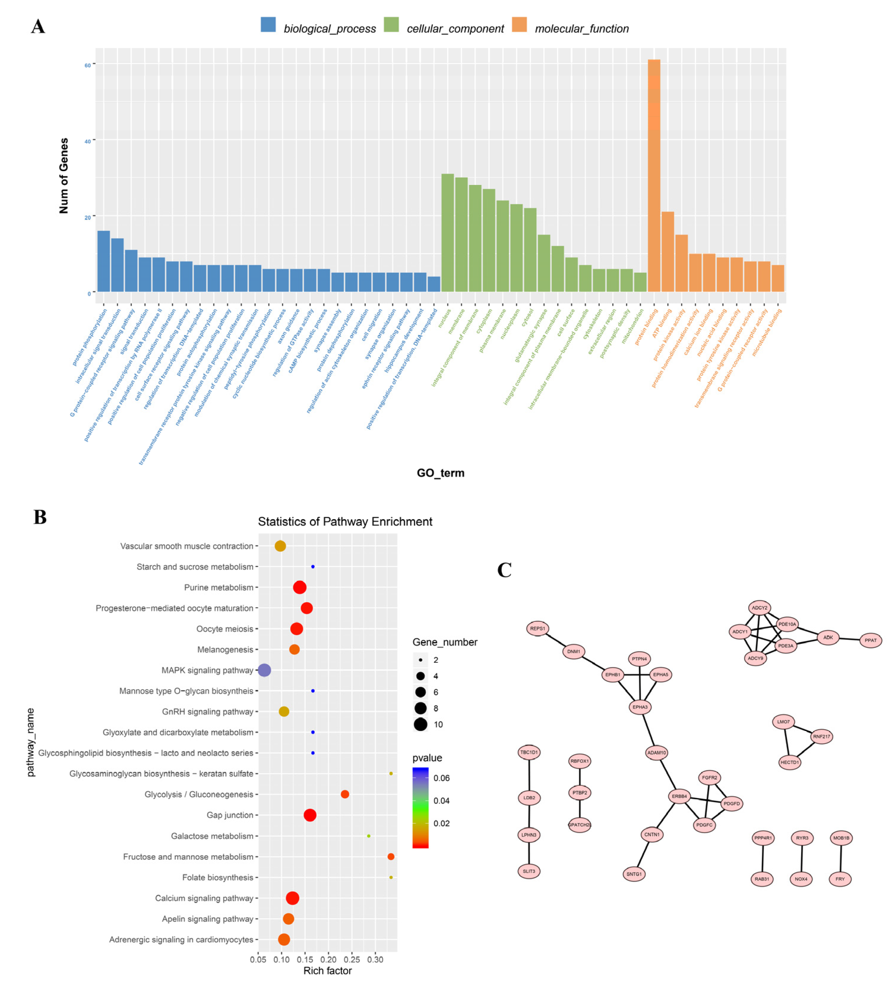 Vetsci 10 00075 g003