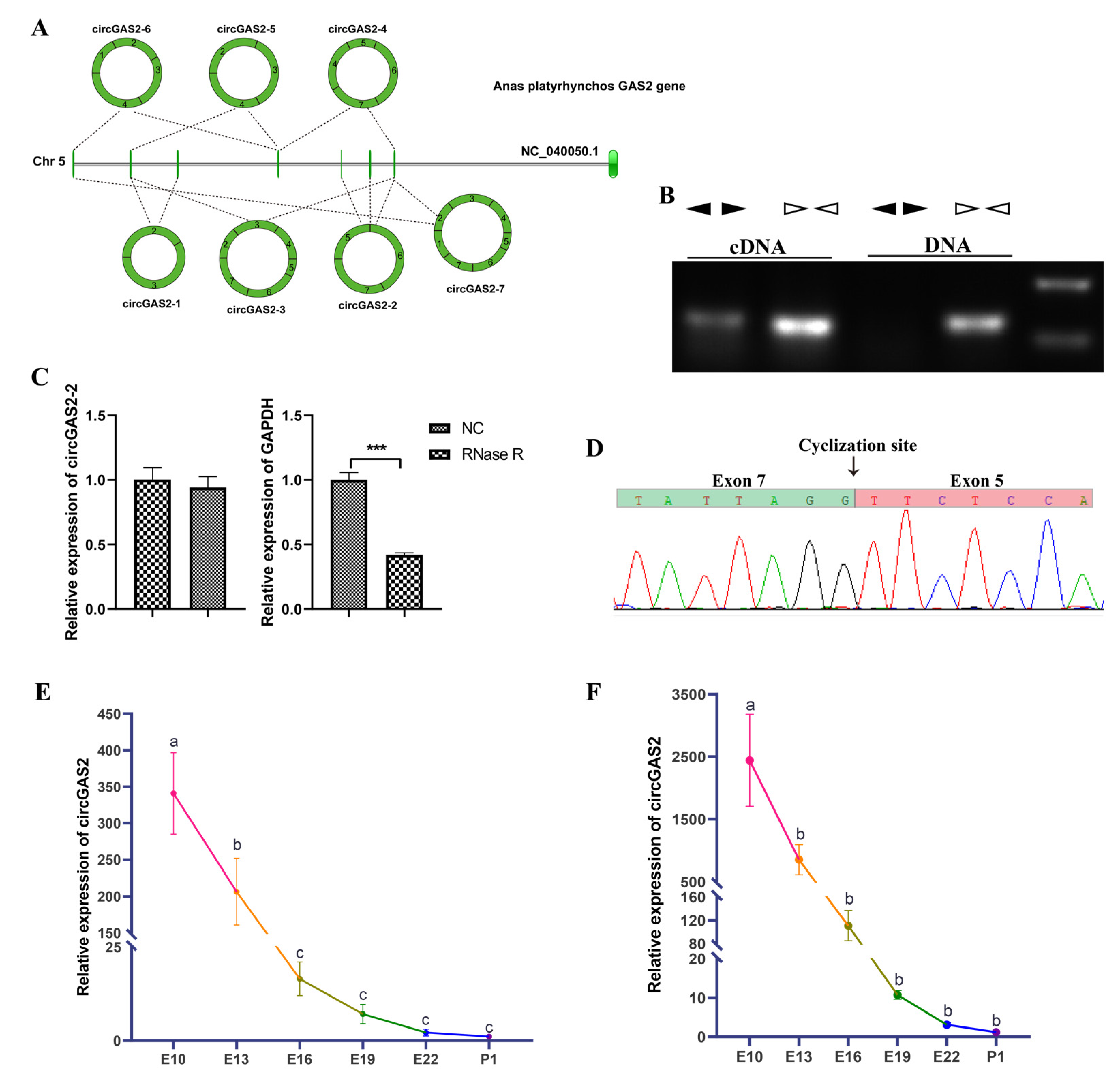 Vetsci 10 00075 g005