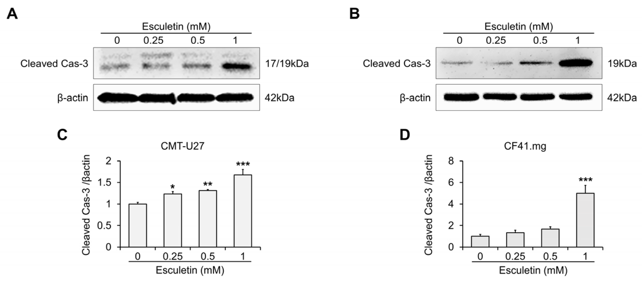 Vetsci 10 00084 g004