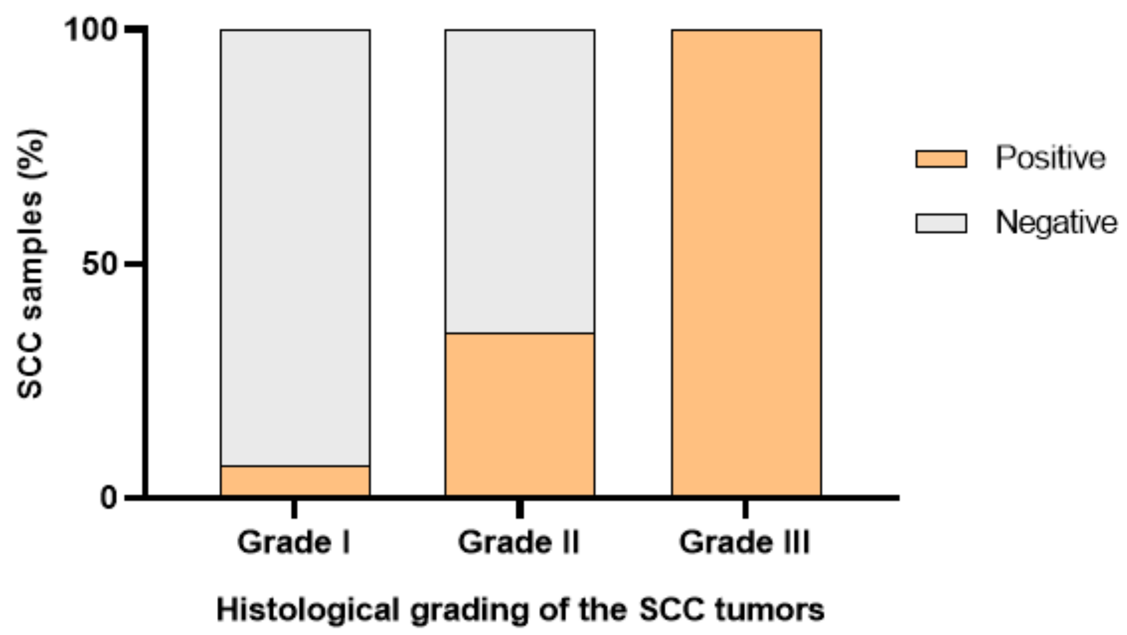 Vetsci 10 00086 g001