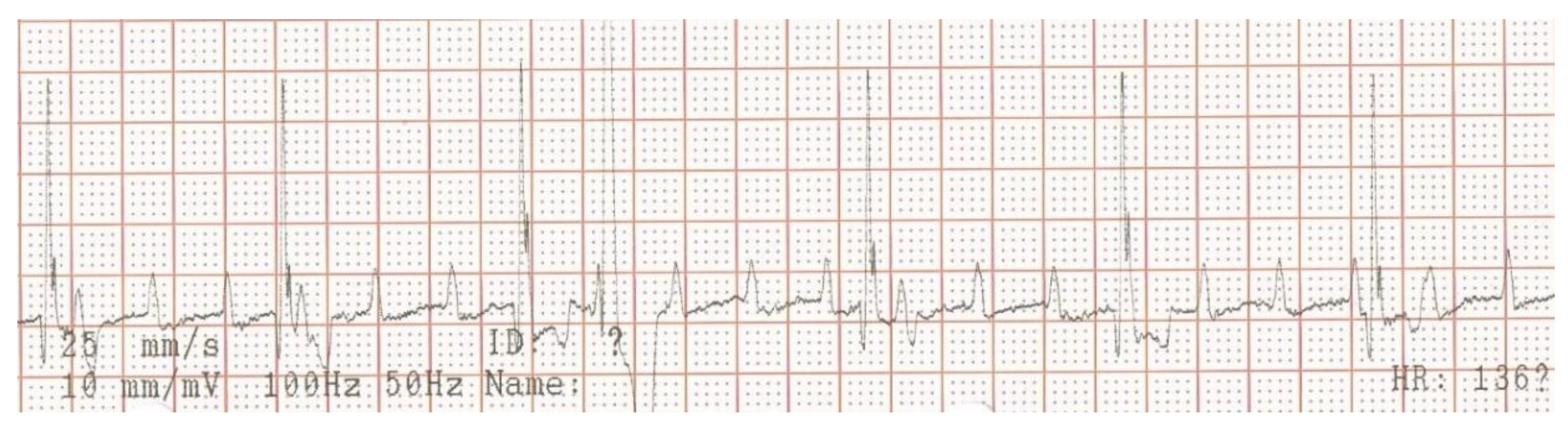 Vetsci 10 00093 g002