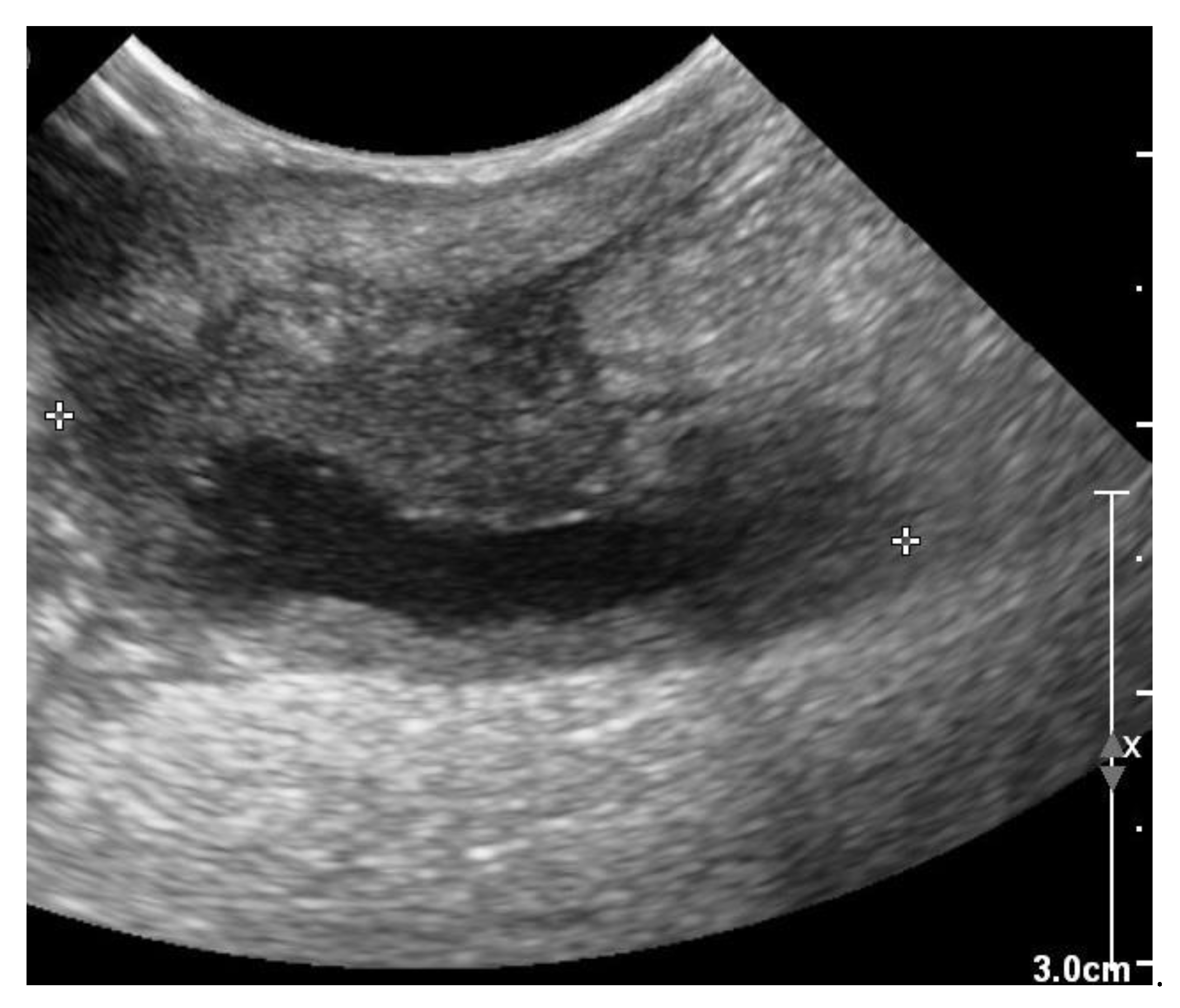 Vetsci 10 00093 g007