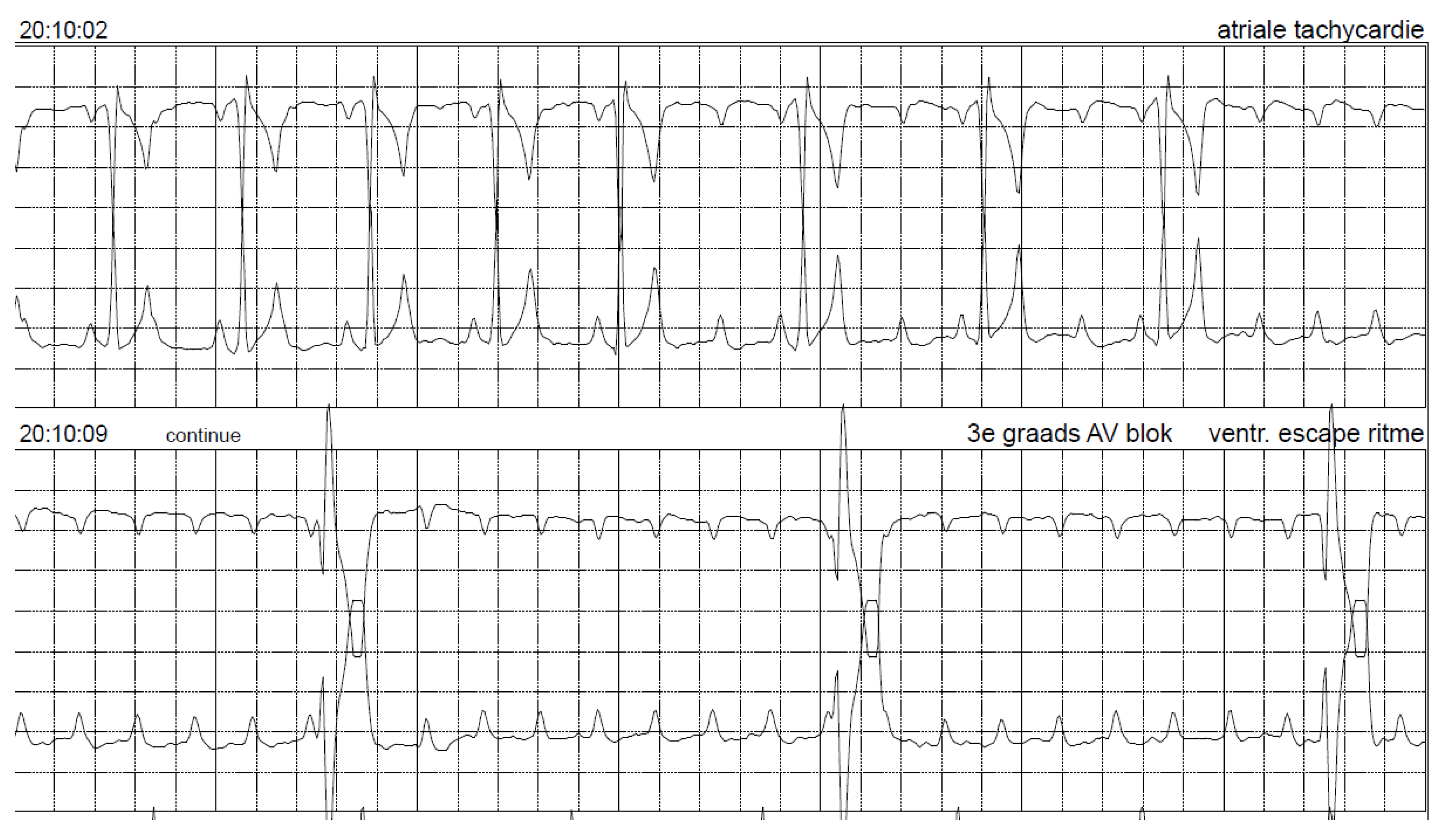 Vetsci 10 00093 g008