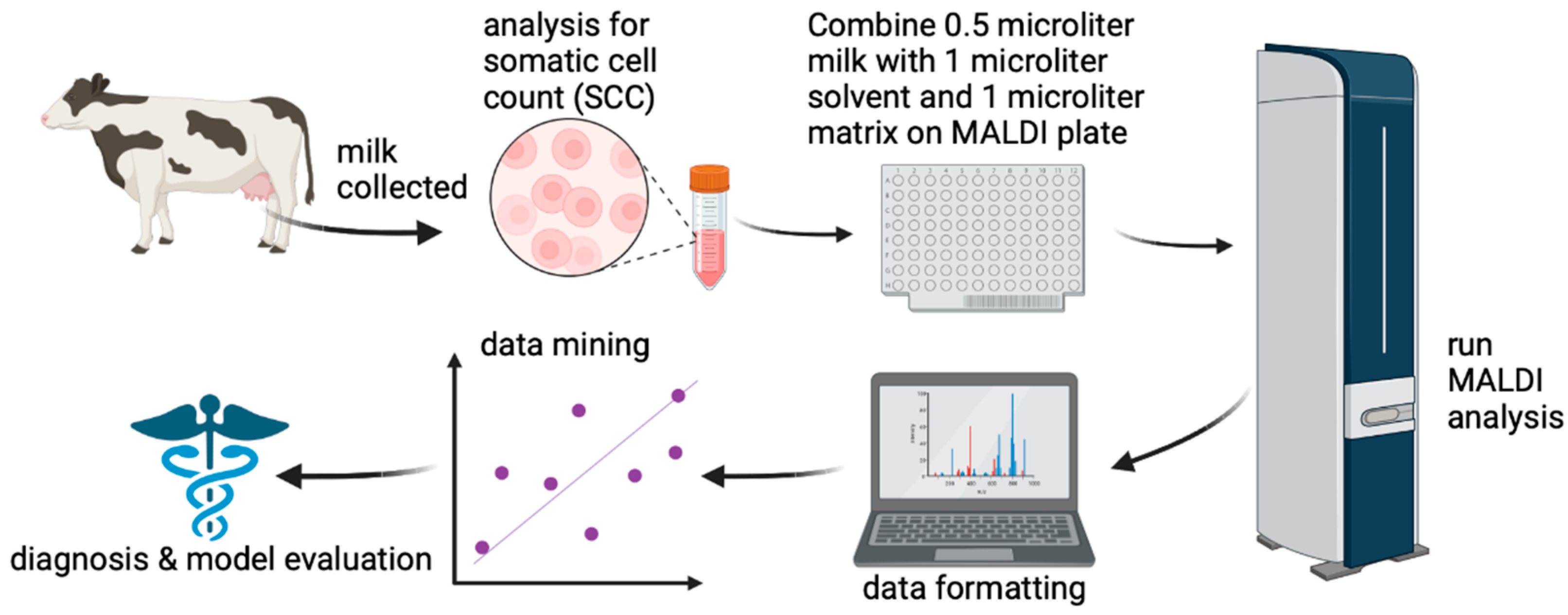 Vetsci 10 00101 g001 Vetsci 10 00101 g001