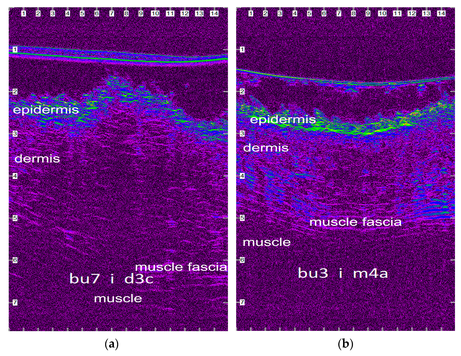 Vetsci 10 00105 g006