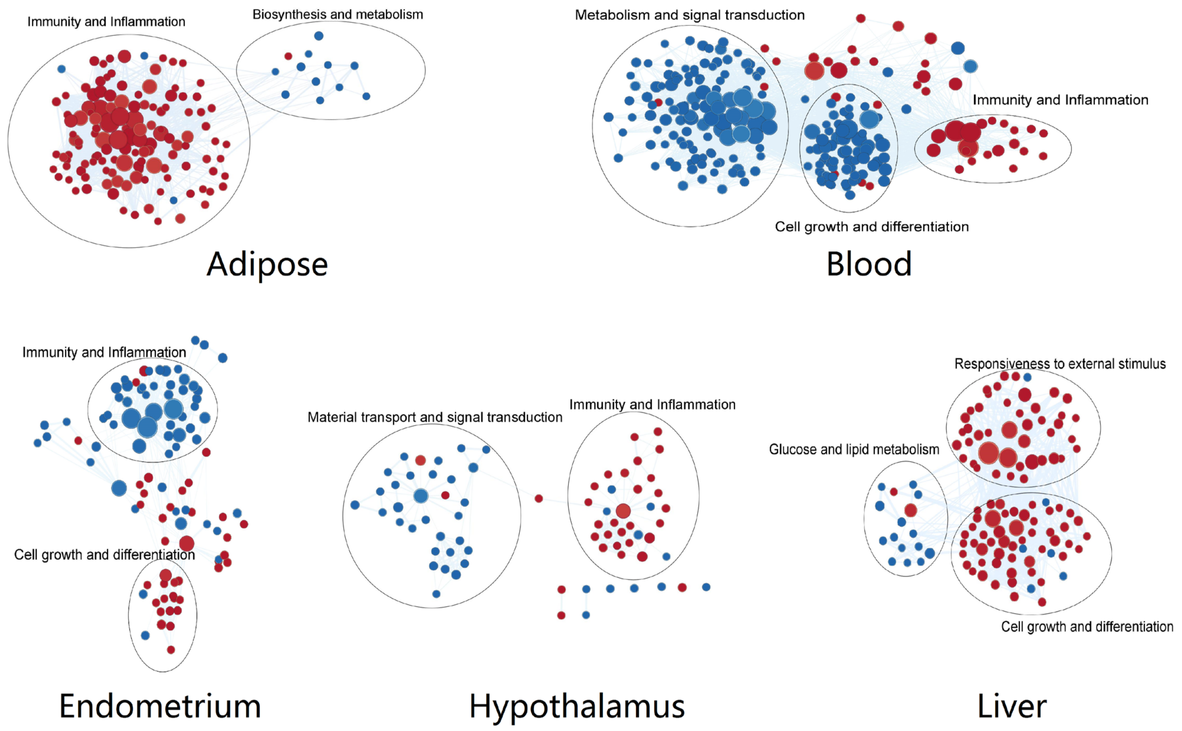 Vetsci 10 00107 g003 Vetsci 10 00107 g003