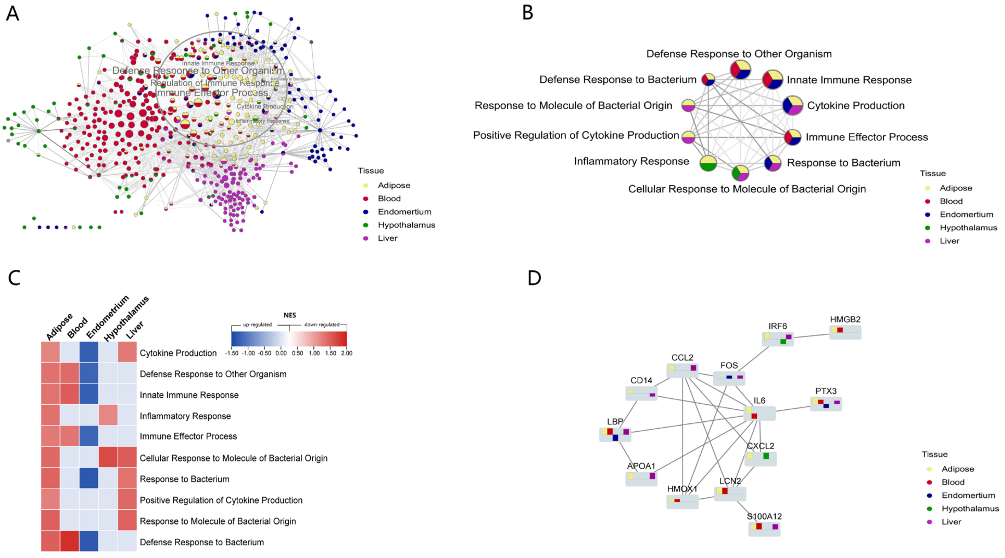 Vetsci 10 00107 g004 Vetsci 10 00107 g004