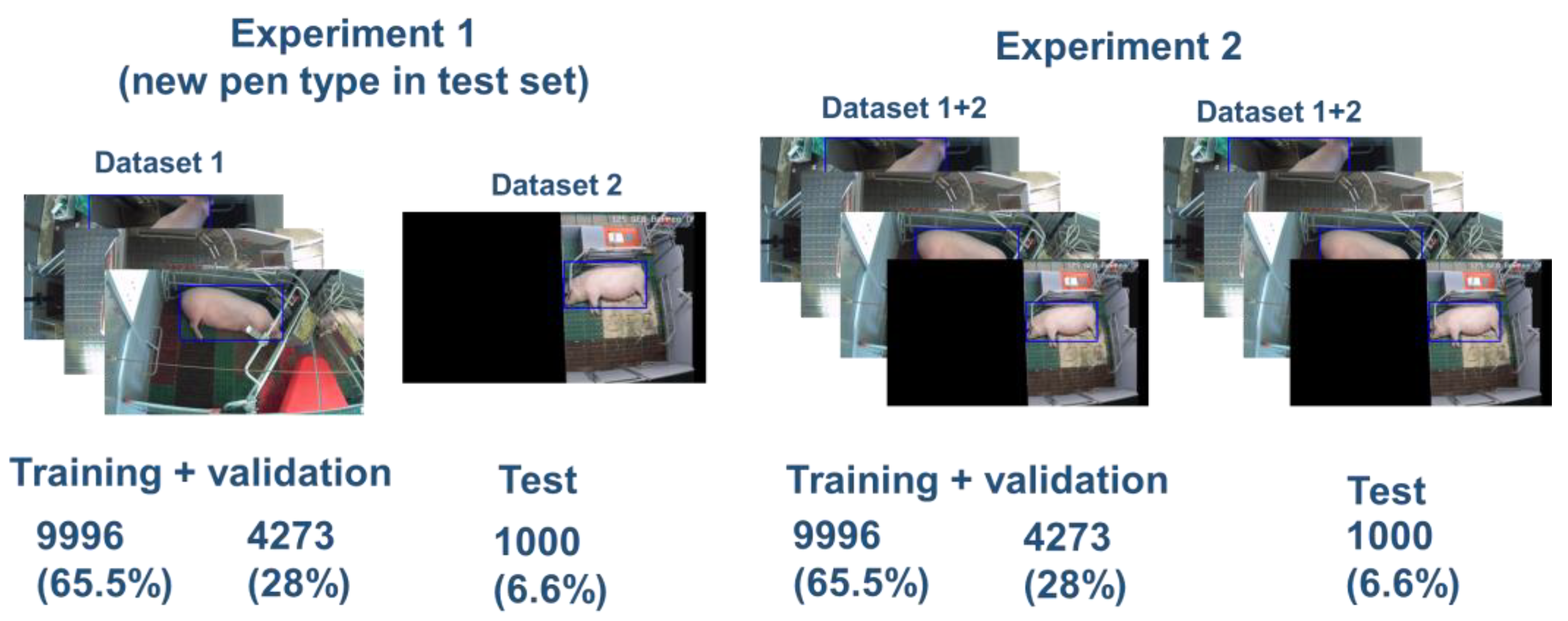 Vetsci 10 00109 g003 550