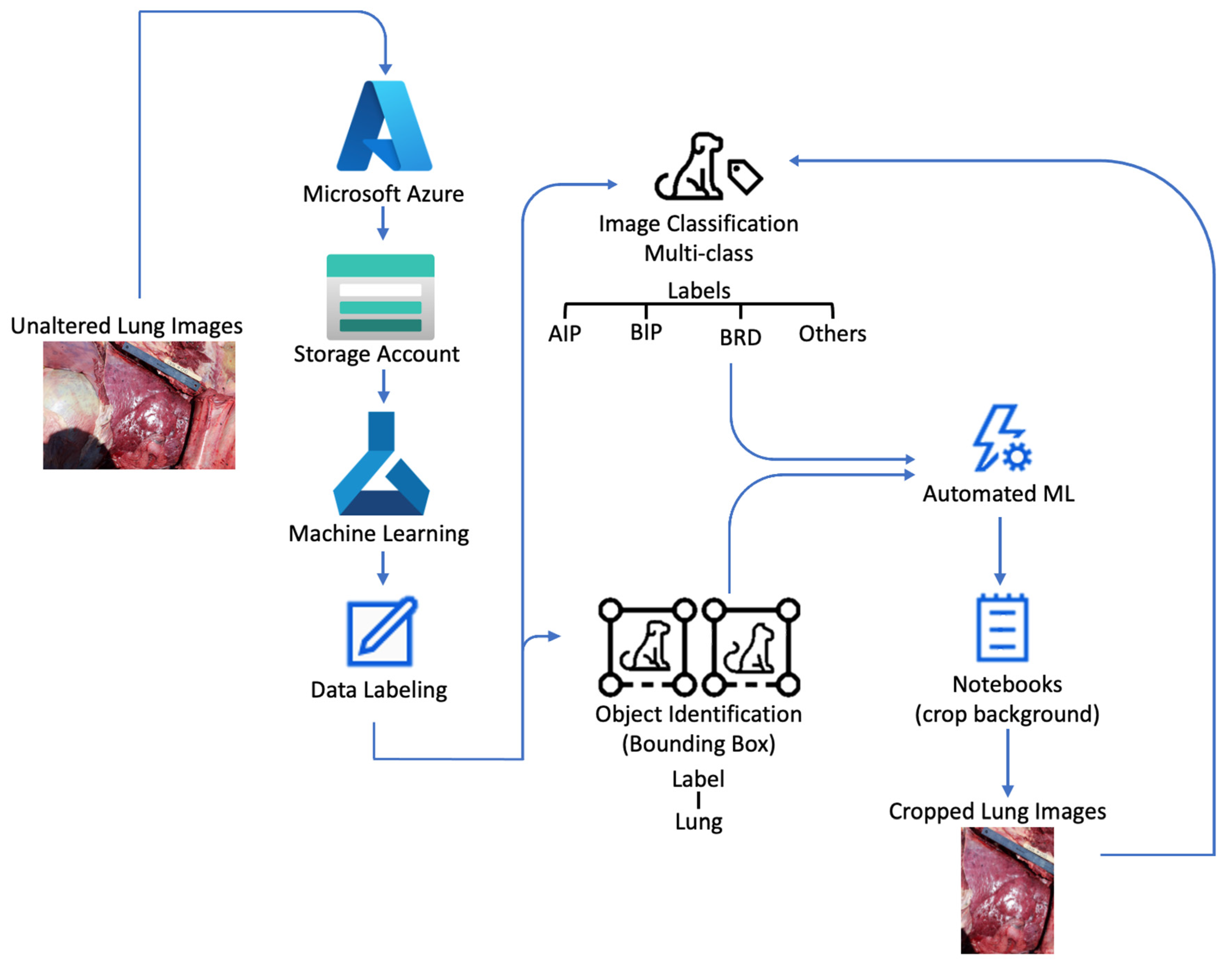 Vetsci 10 00113 g002 Vetsci 10 00113 g002