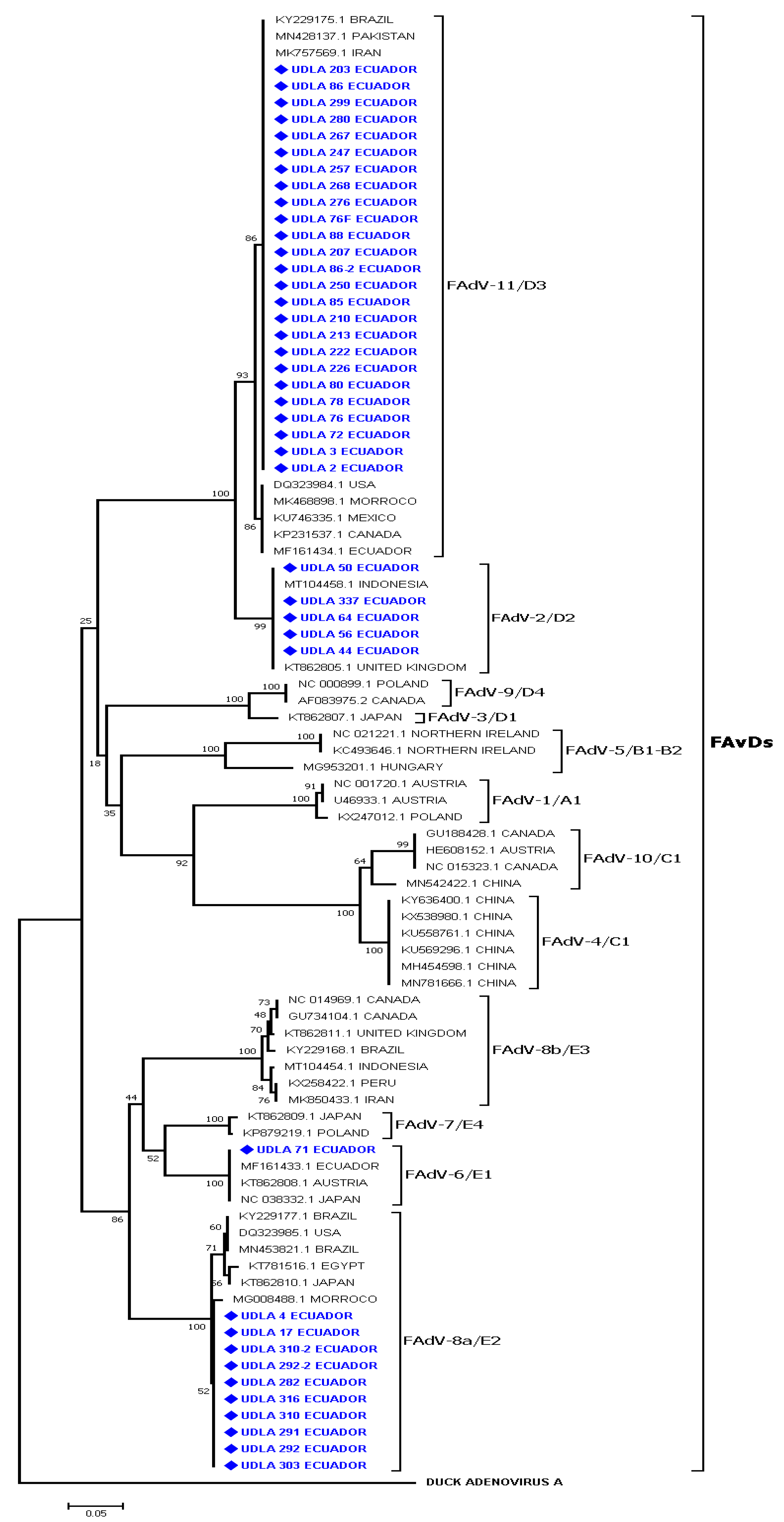 Vetsci 10 00115 g002