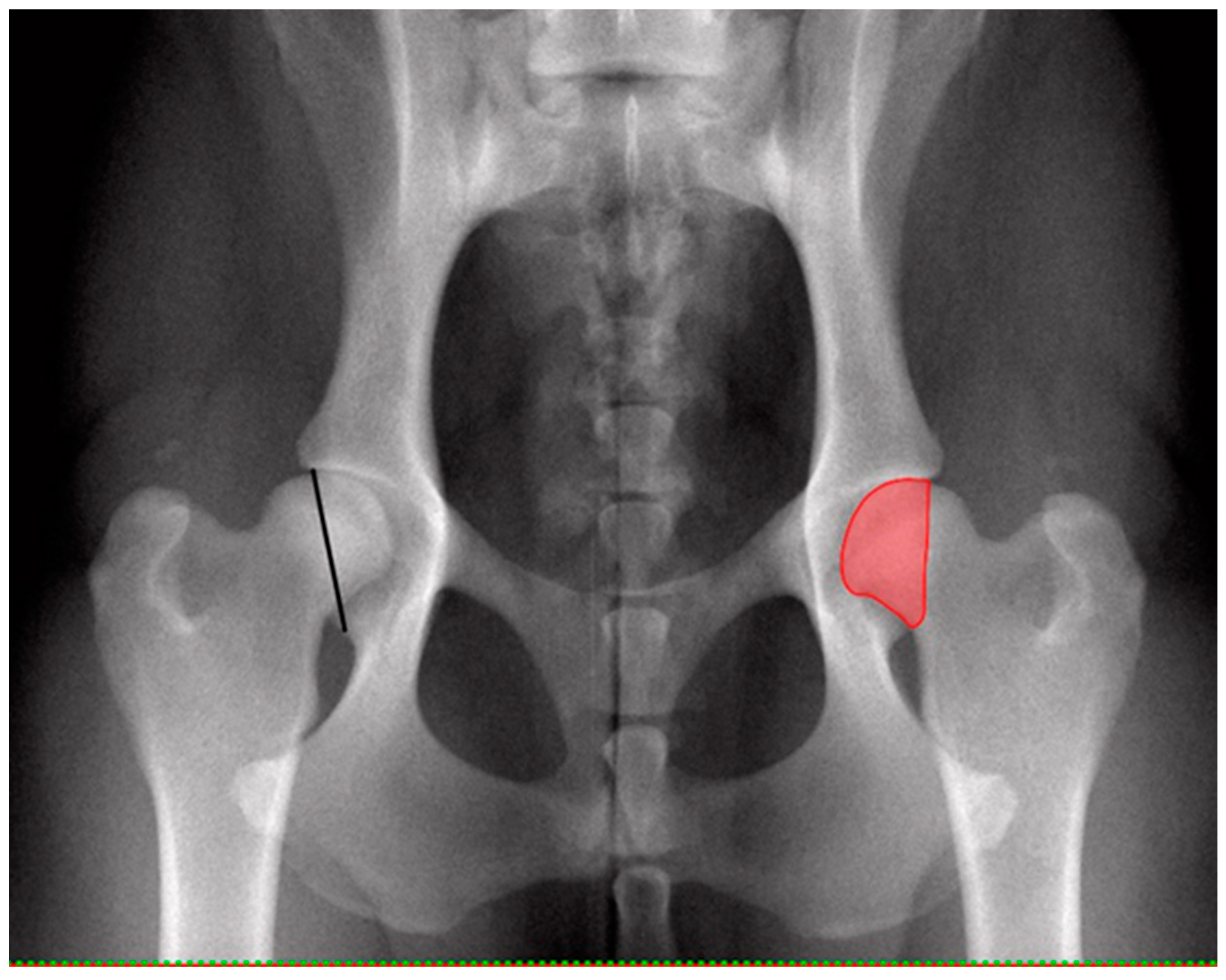 Vetsci 10 00120 g001 550