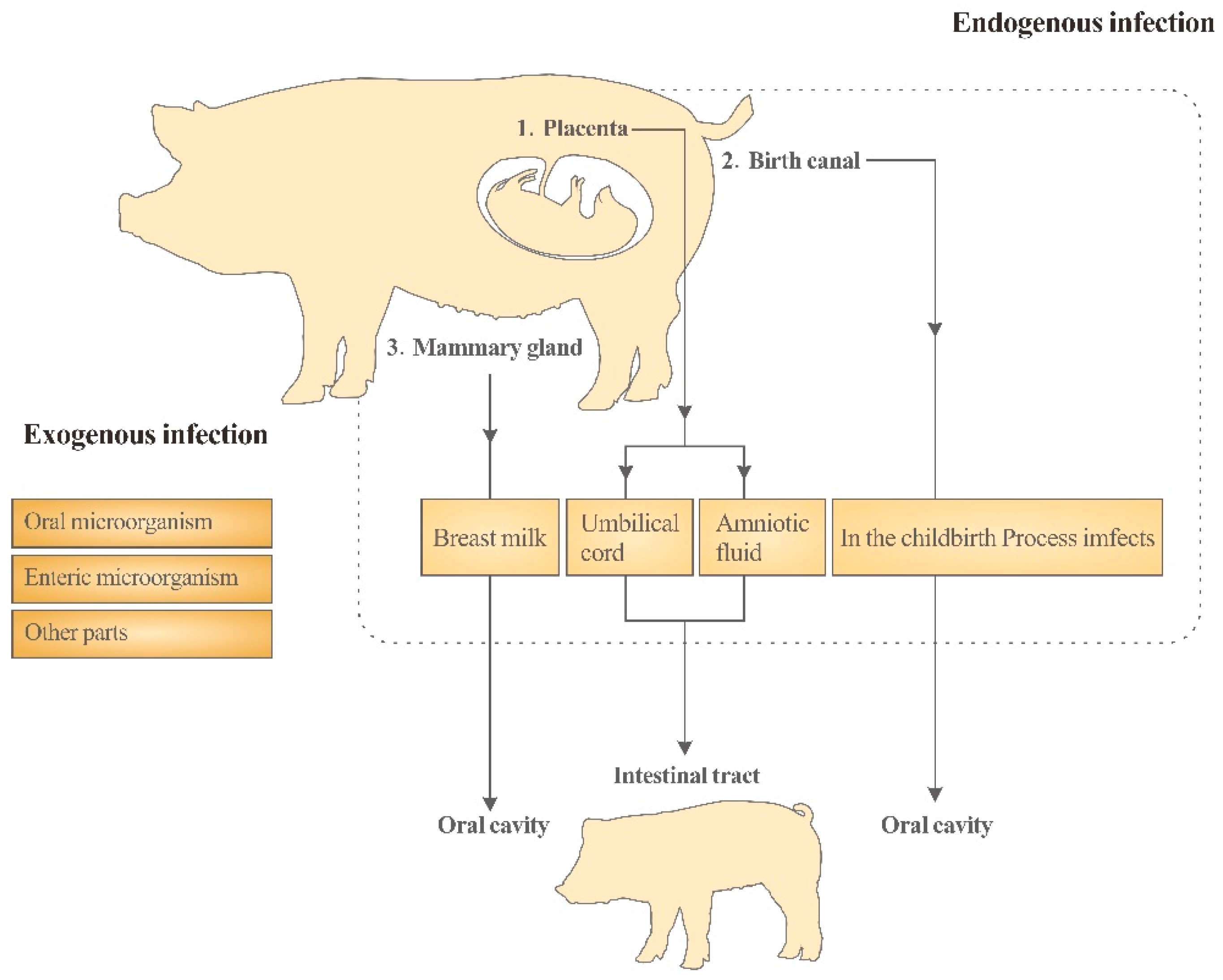 Vetsci 10 00123 g001