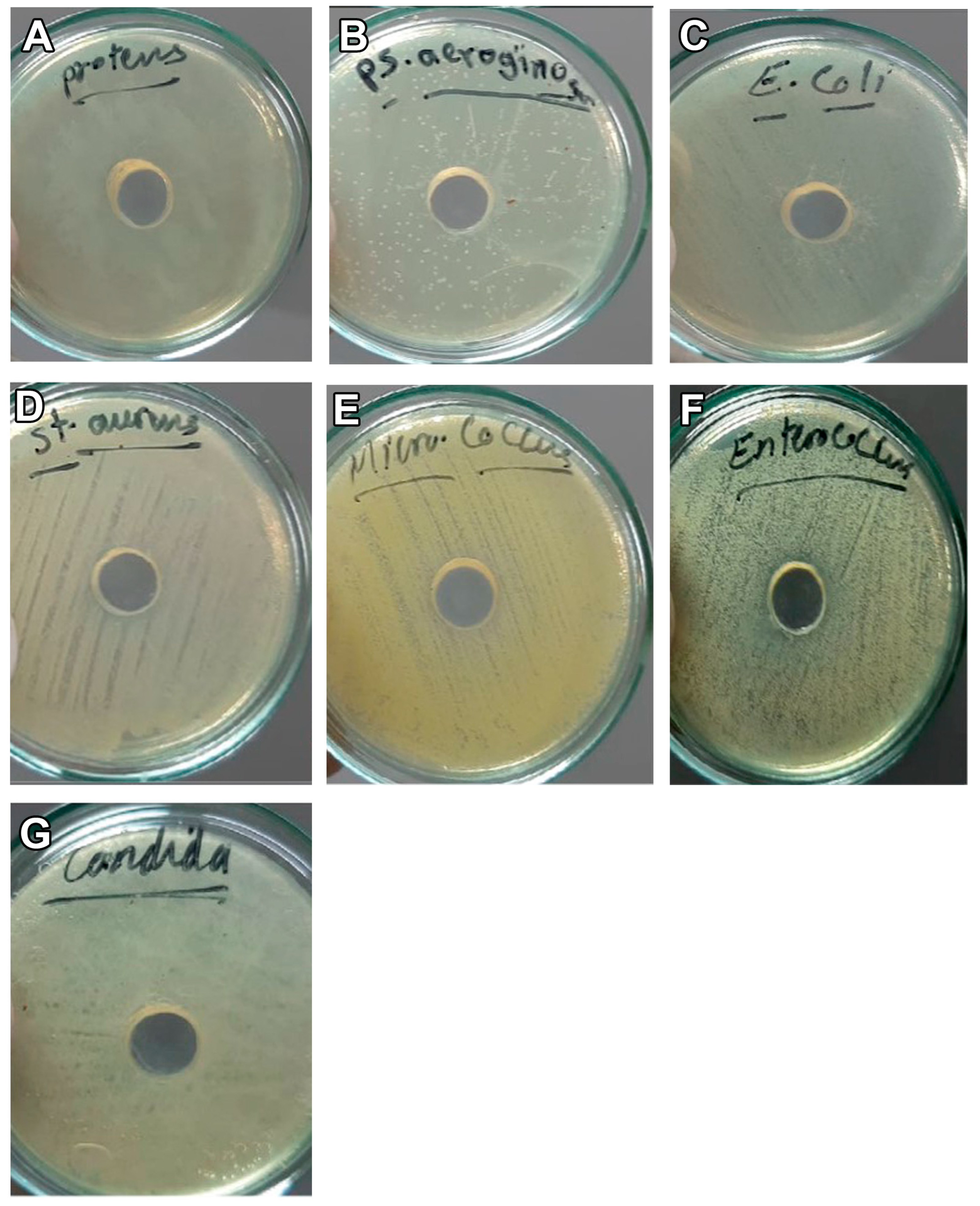 Vetsci 10 00124 g003