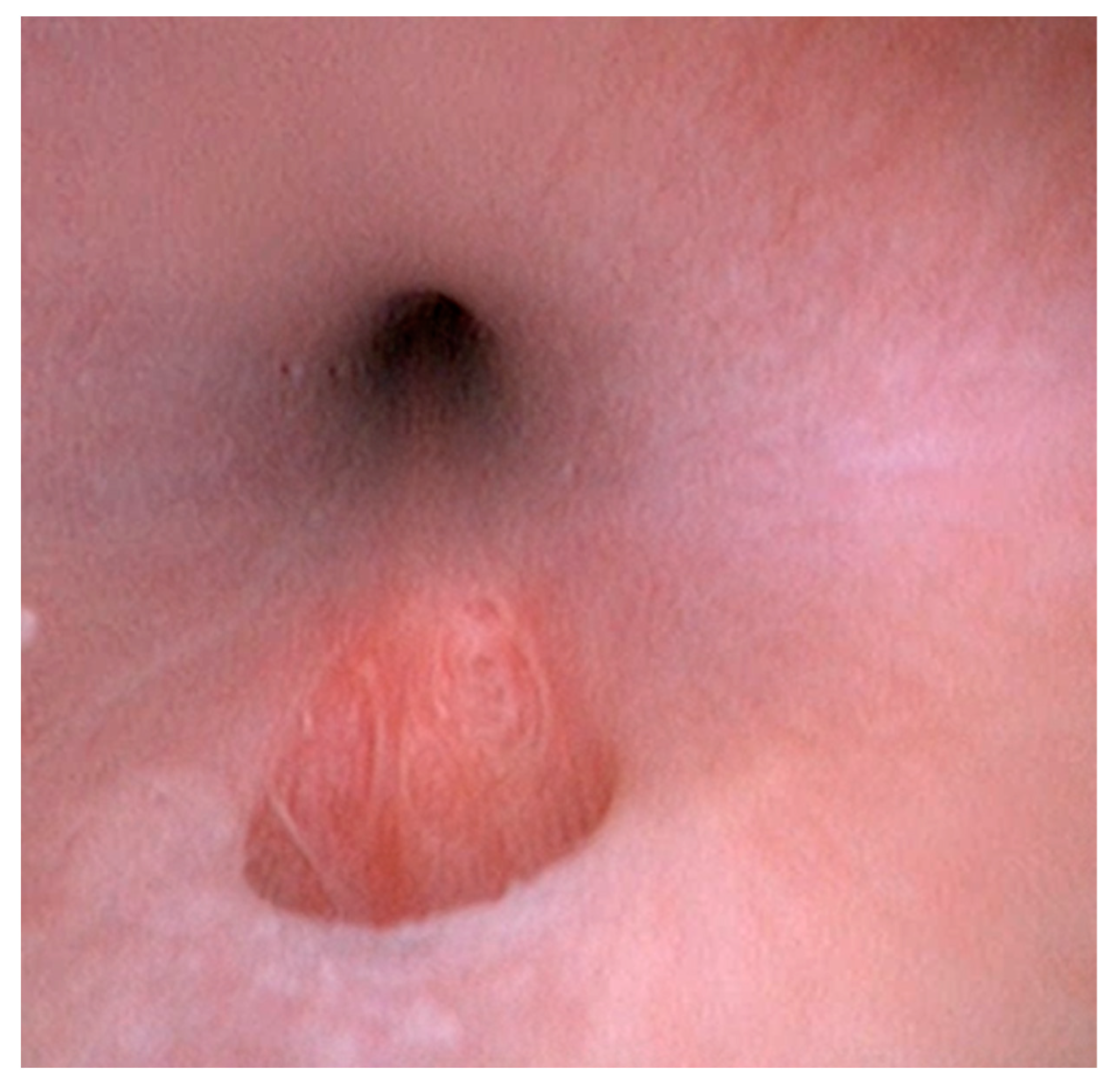 Vetsci 10 00126 g003