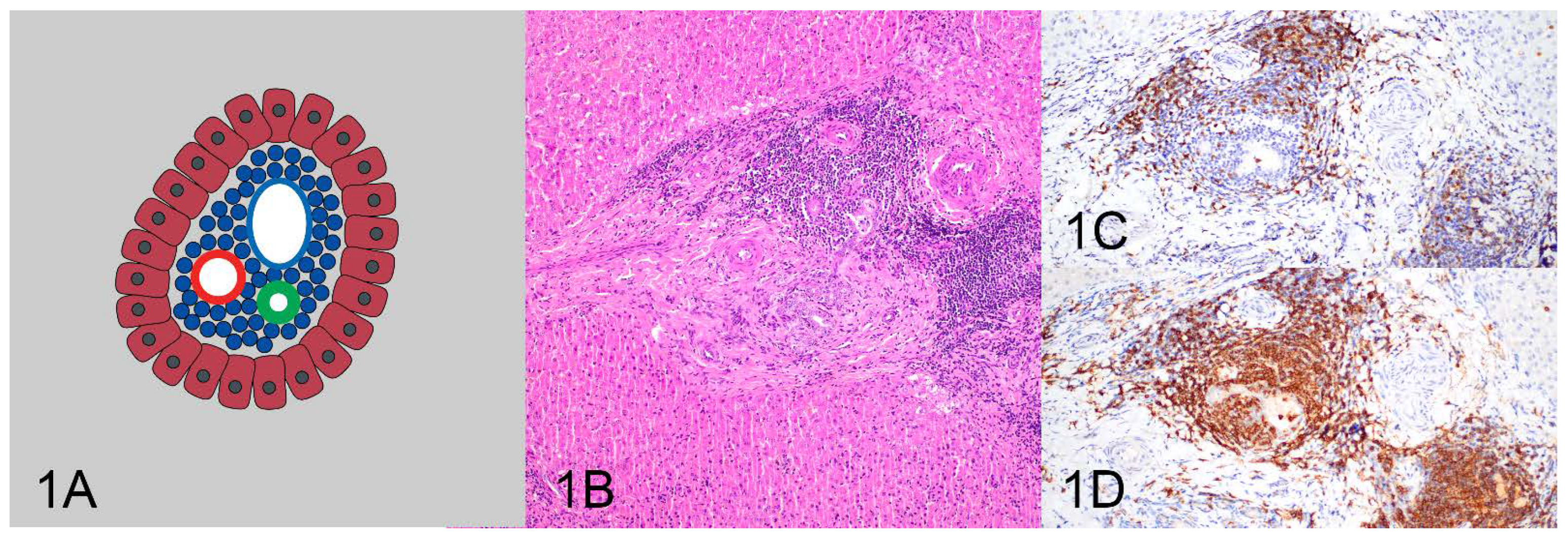 Vetsci 10 00127 g001 550