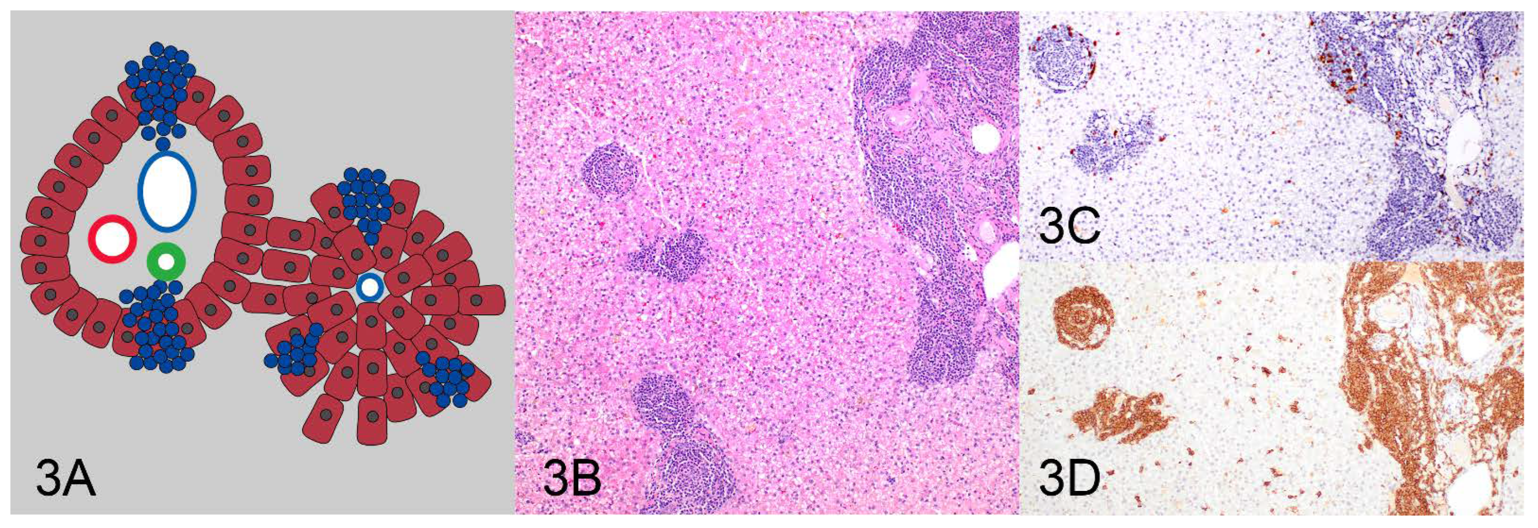 Vetsci 10 00127 g003 550