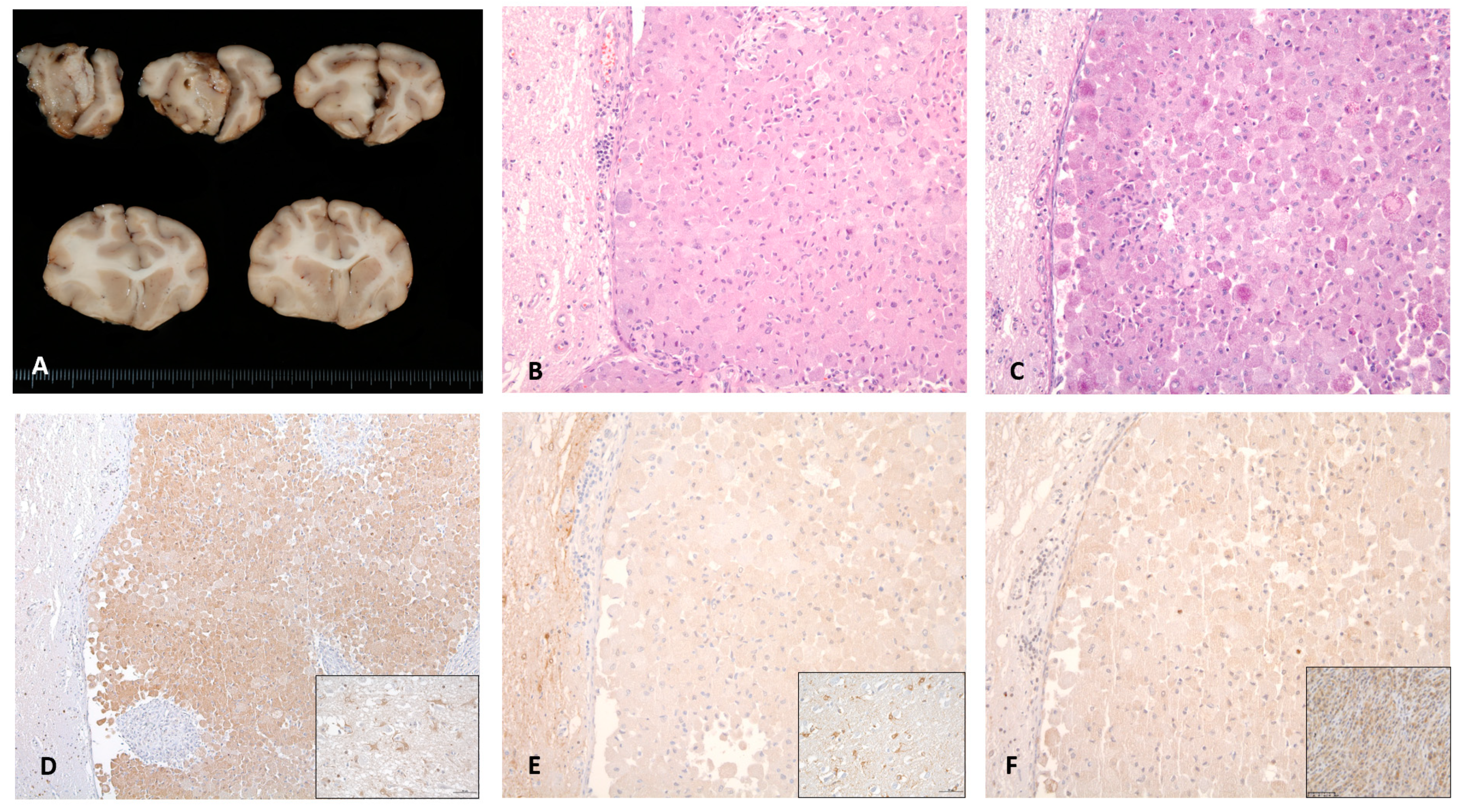 Vetsci 10 00134 g004