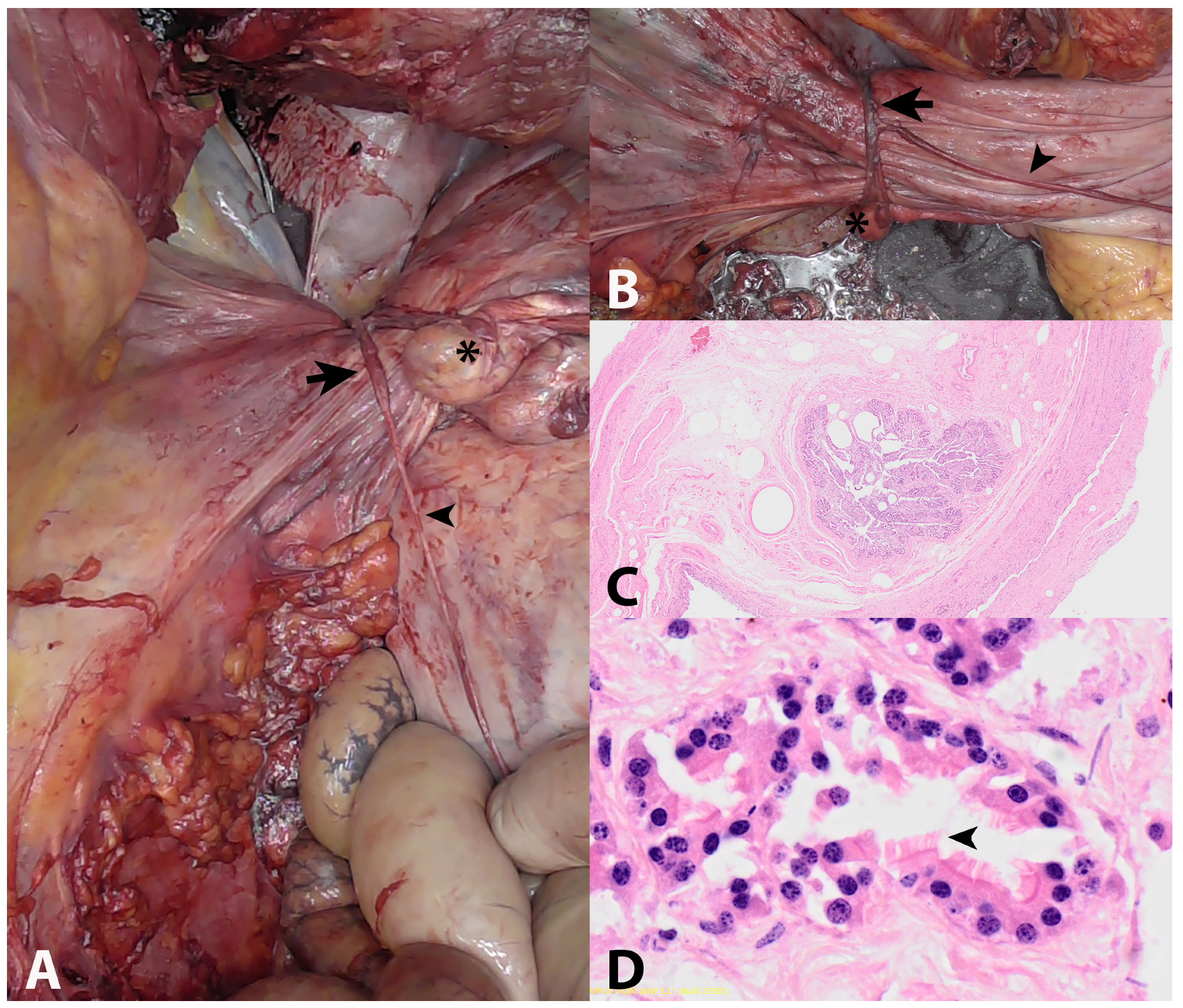 Vetsci 10 00139 g001 Vetsci 10 00139 g001