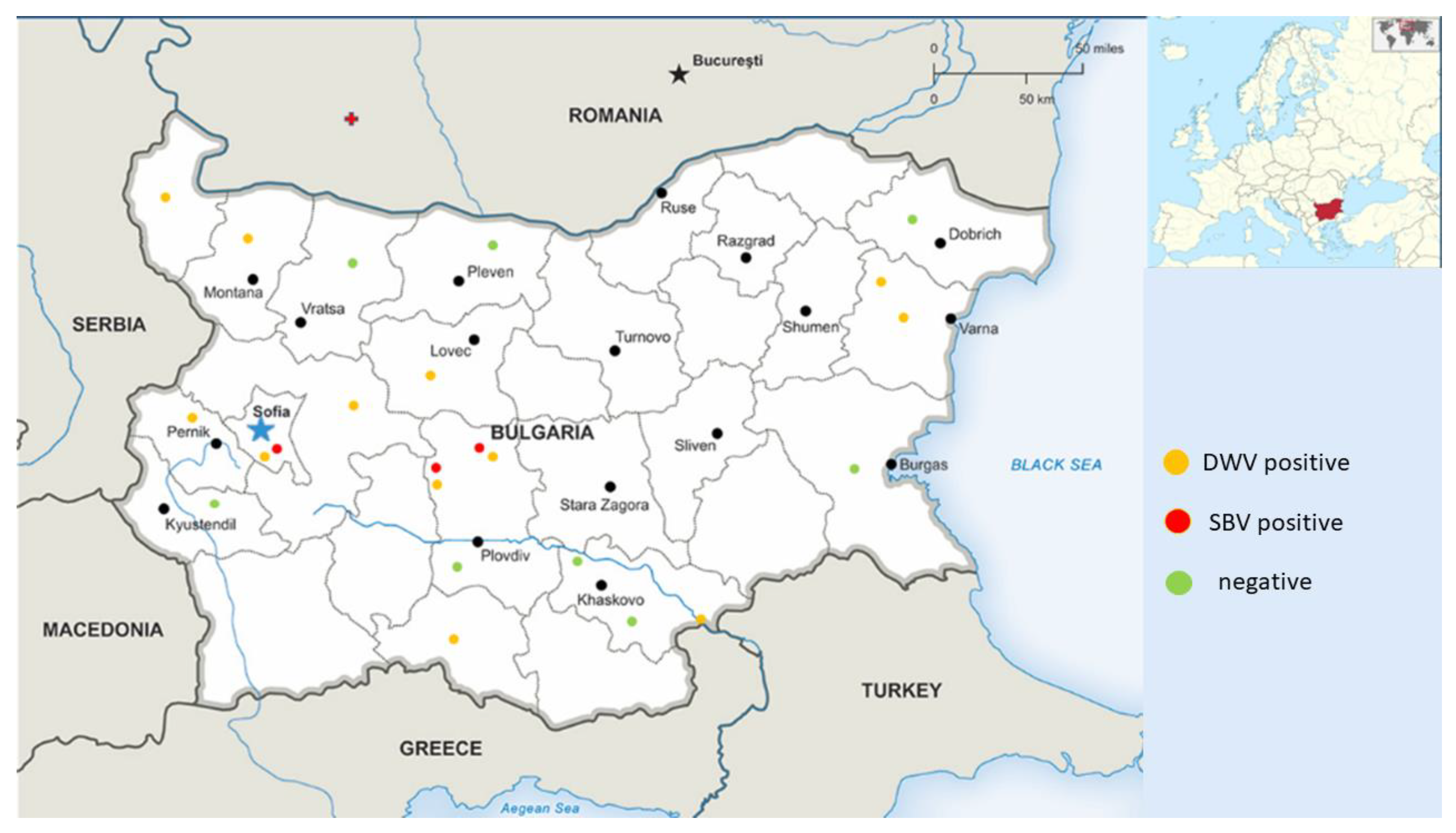 Vetsci 10 00140 g001 Vetsci 10 00140 g001