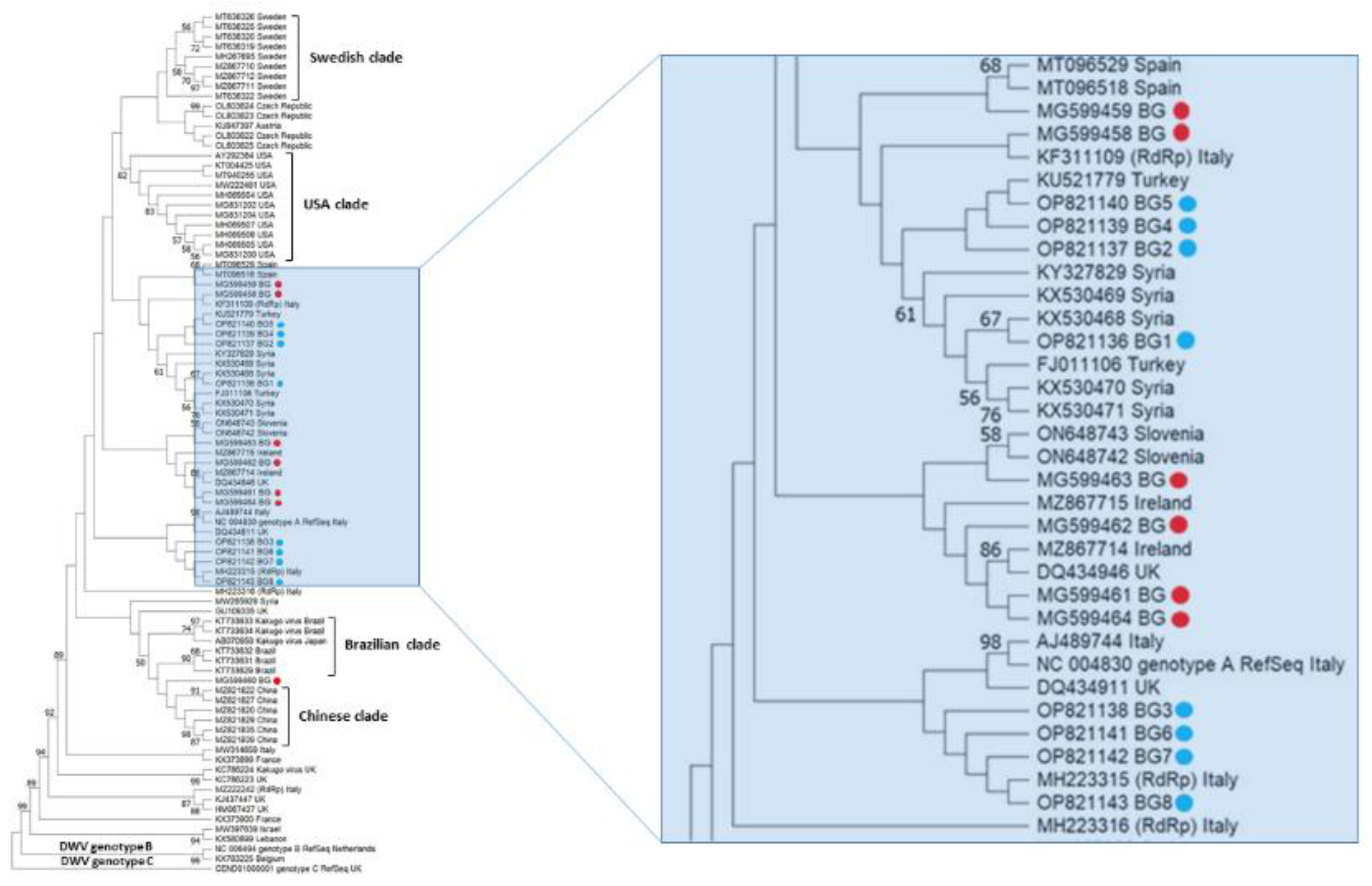 Vetsci 10 00140 g003 Vetsci 10 00140 g003