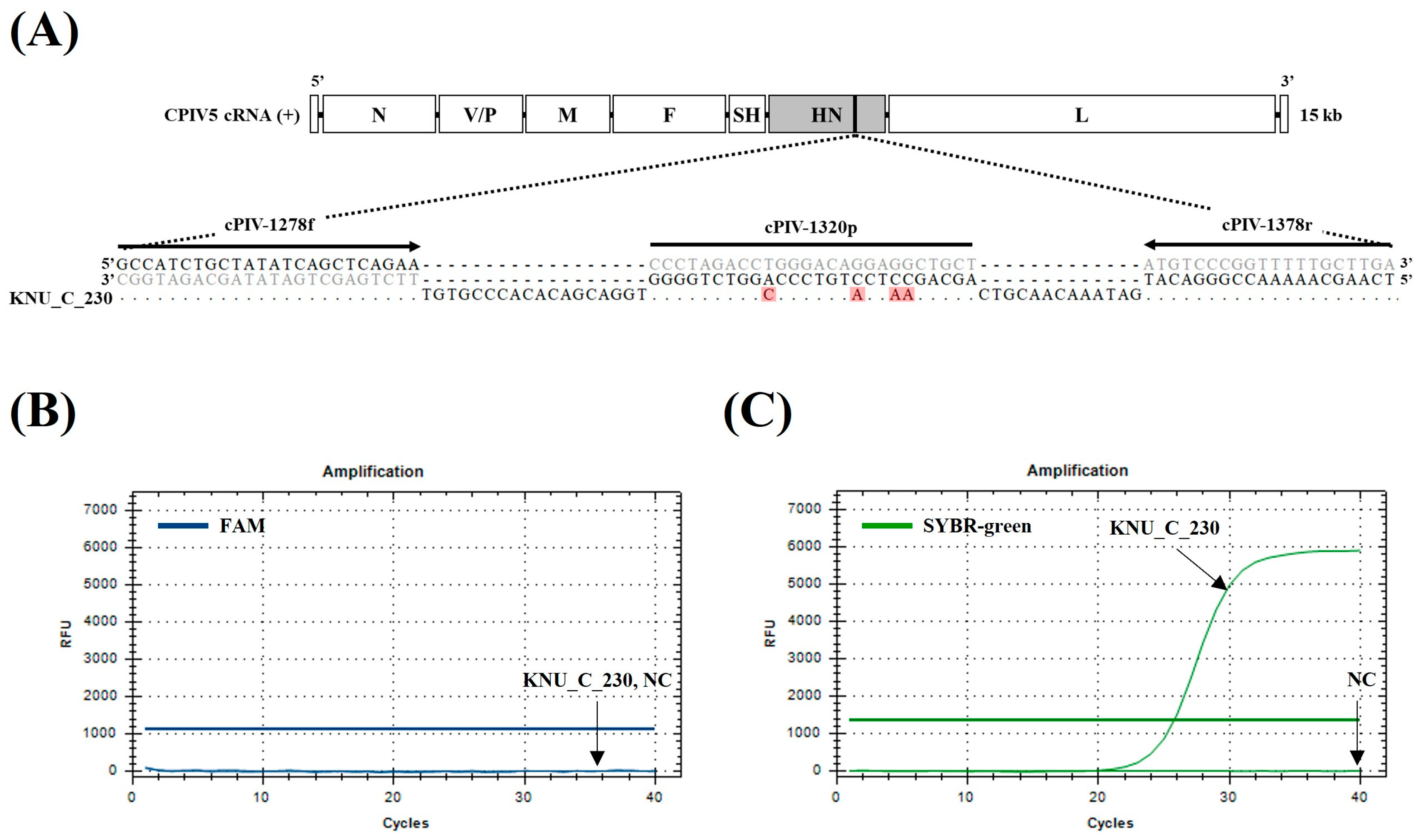 Vetsci 10 00142 g002