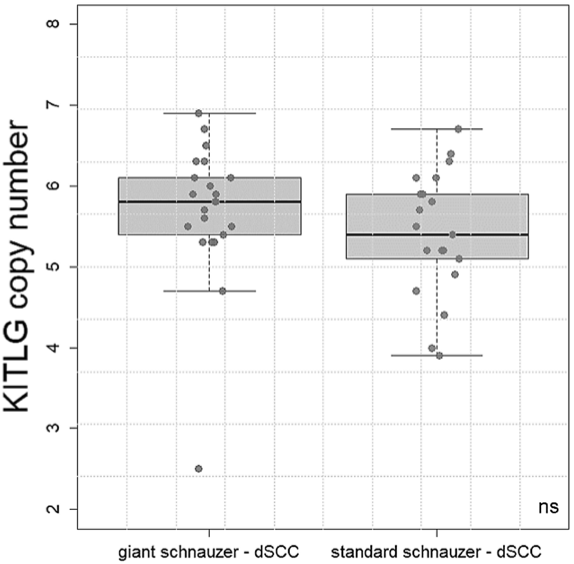Vetsci 10 00147 g002
