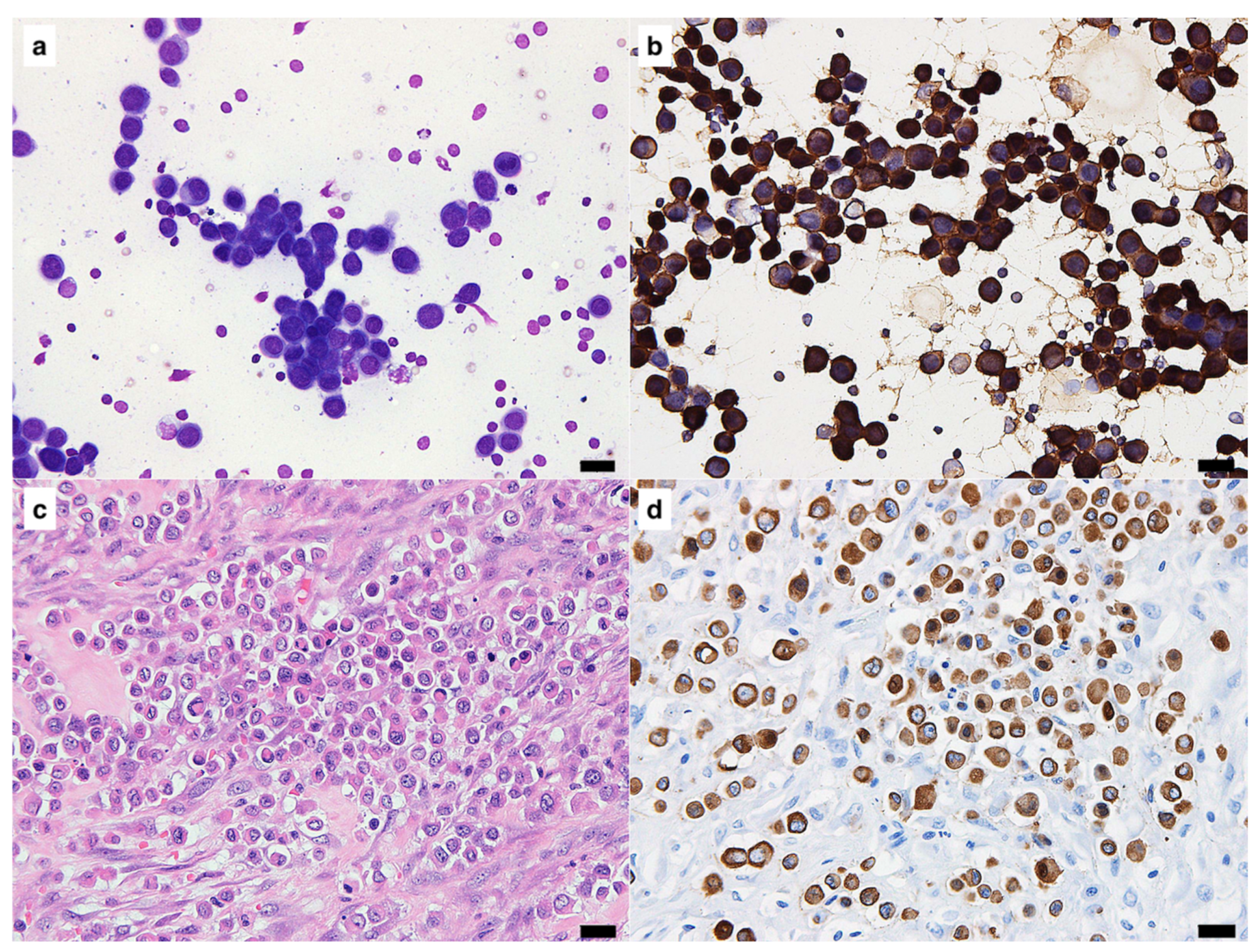 Vetsci 10 00153 g001 550