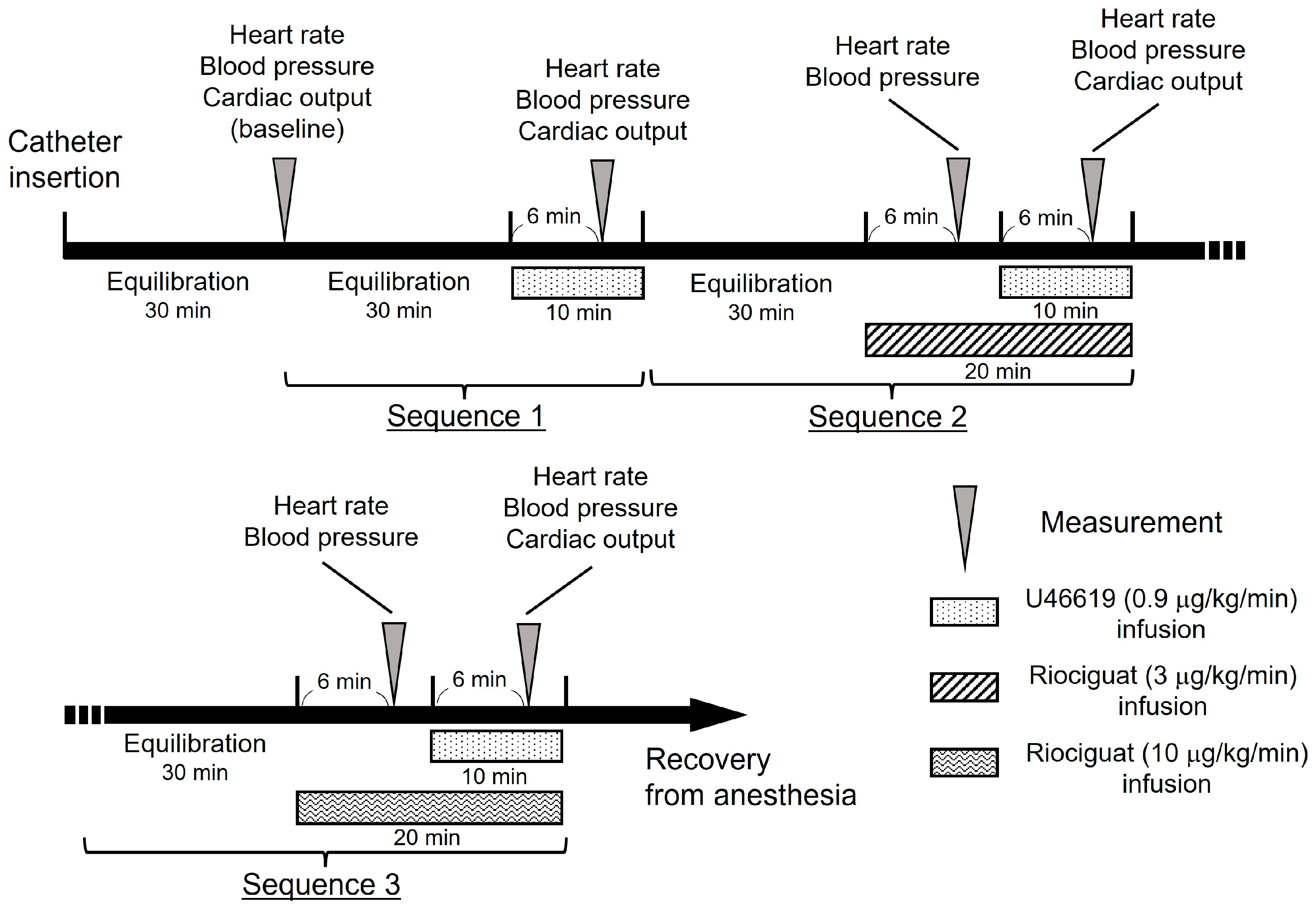 Vetsci 10 00159 g001