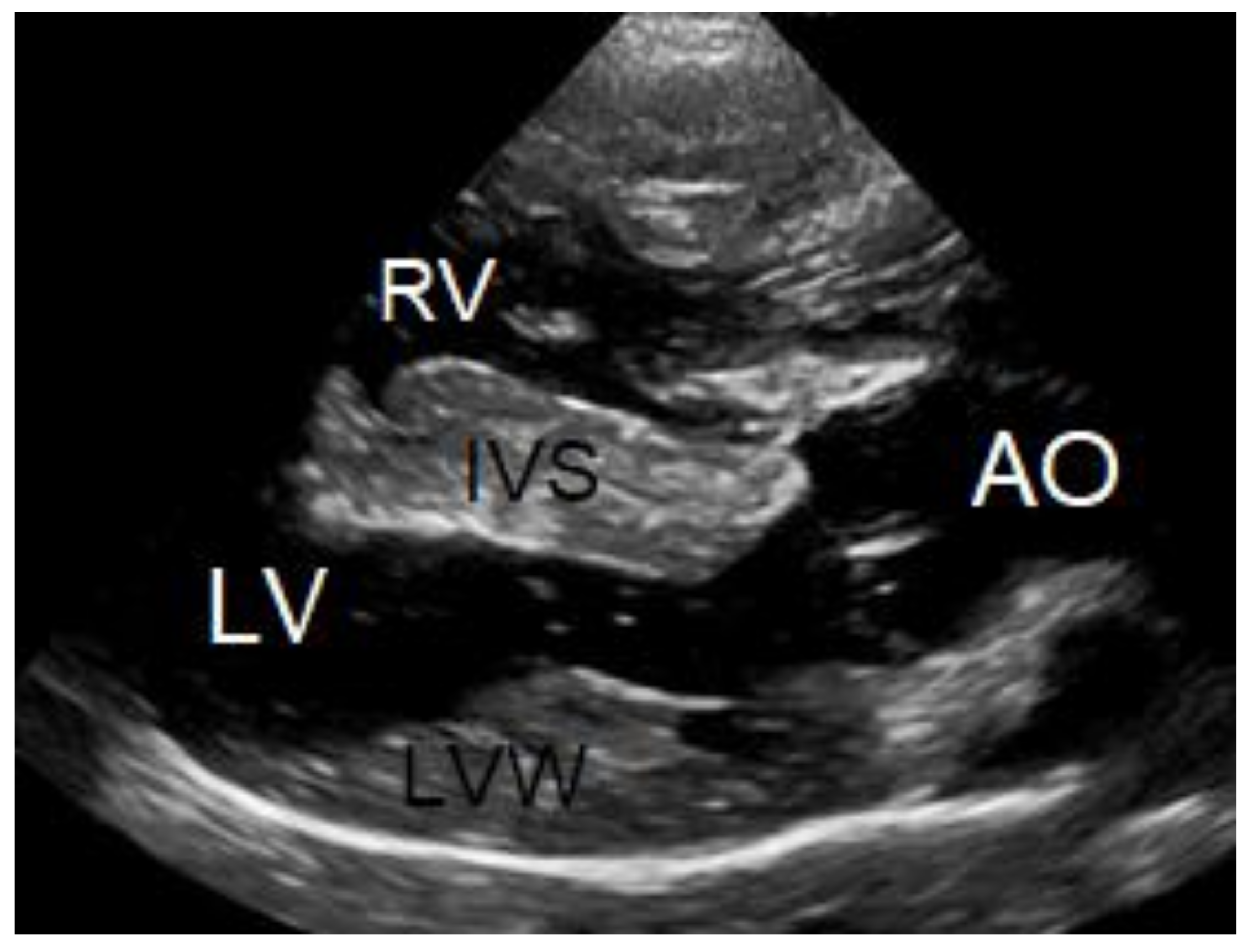 Vetsci 10 00174 g005