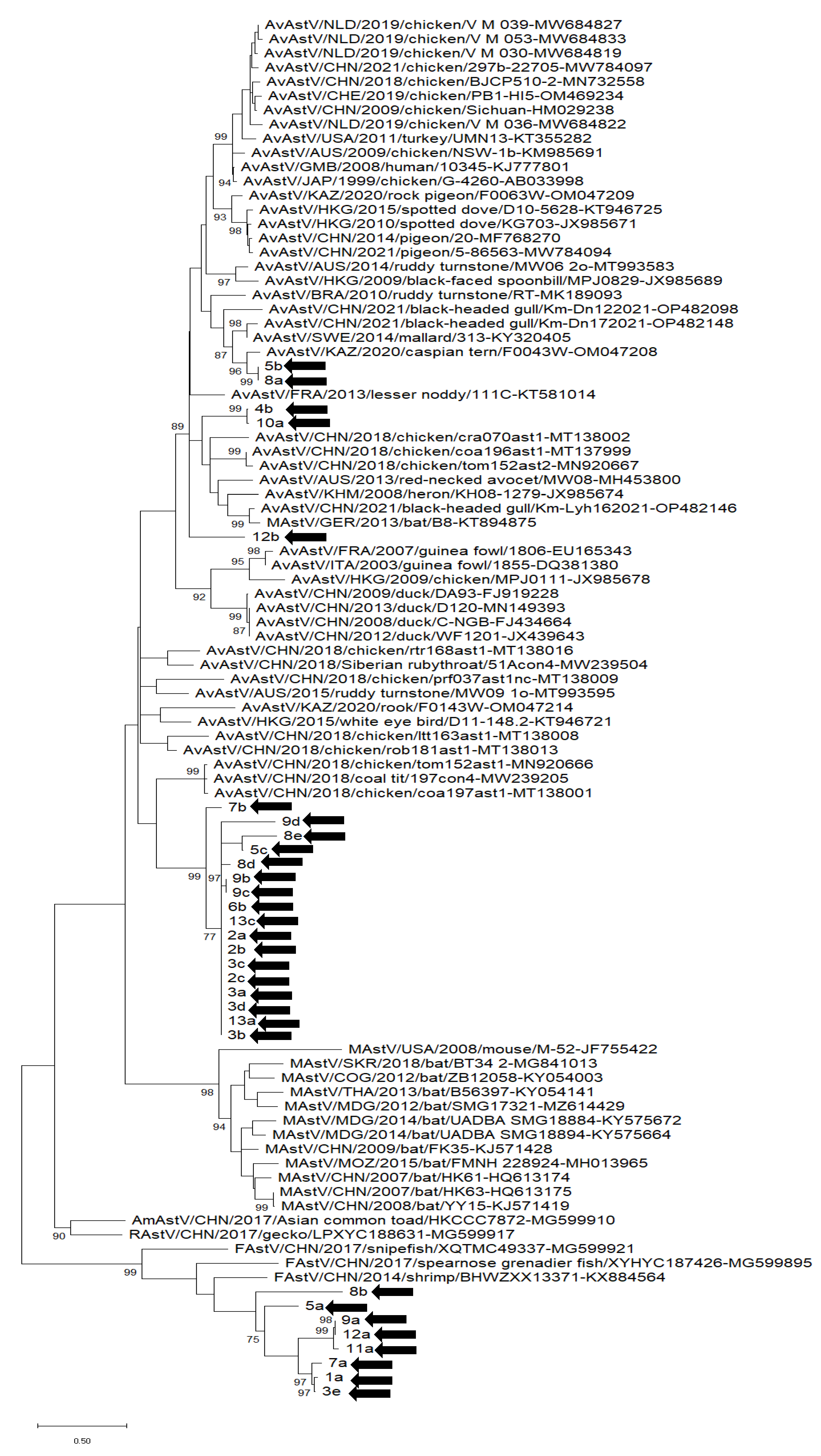 Vetsci 10 00175 g003 Vetsci 10 00175 g003