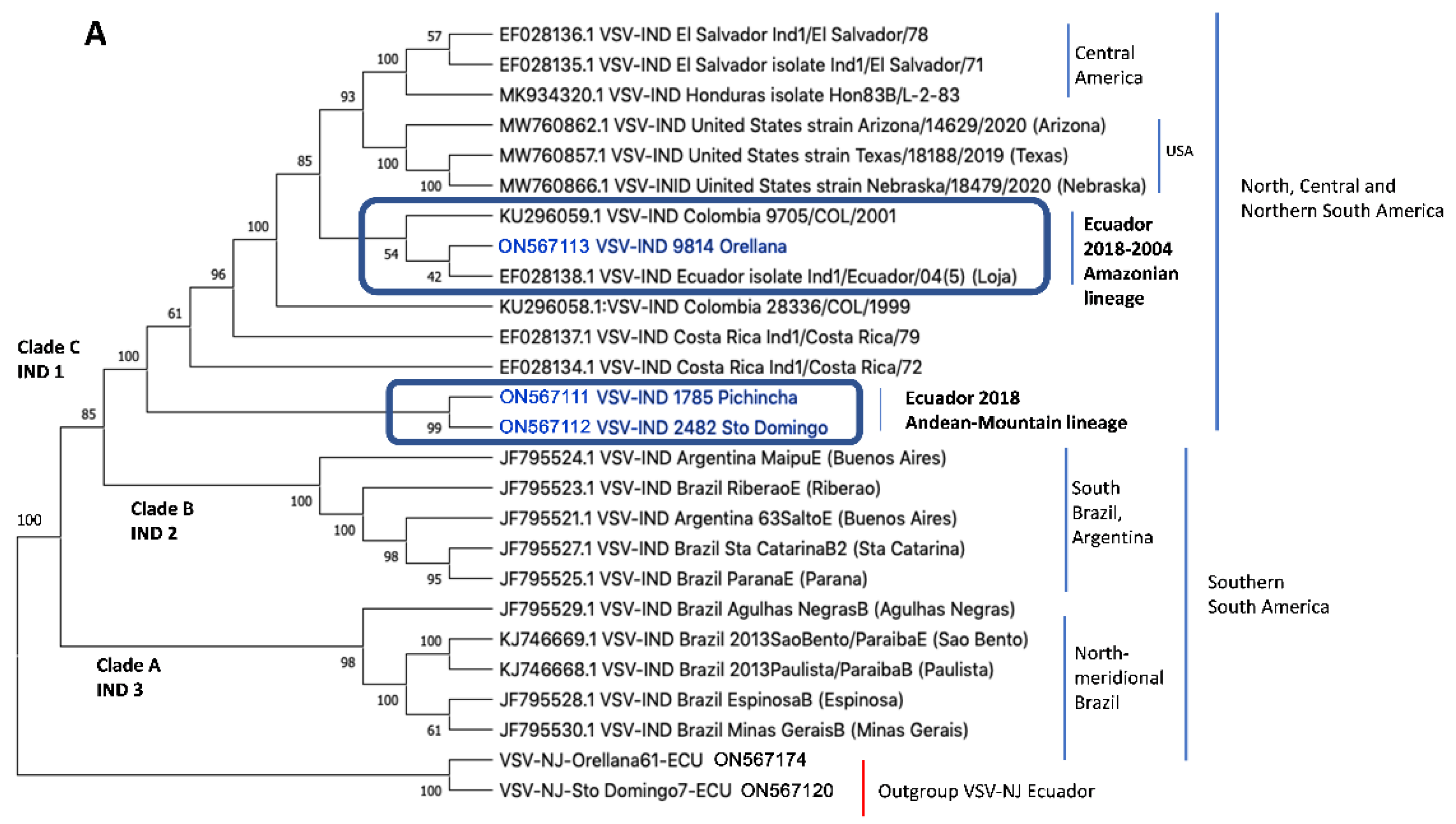 Vetsci 10 00181 g002